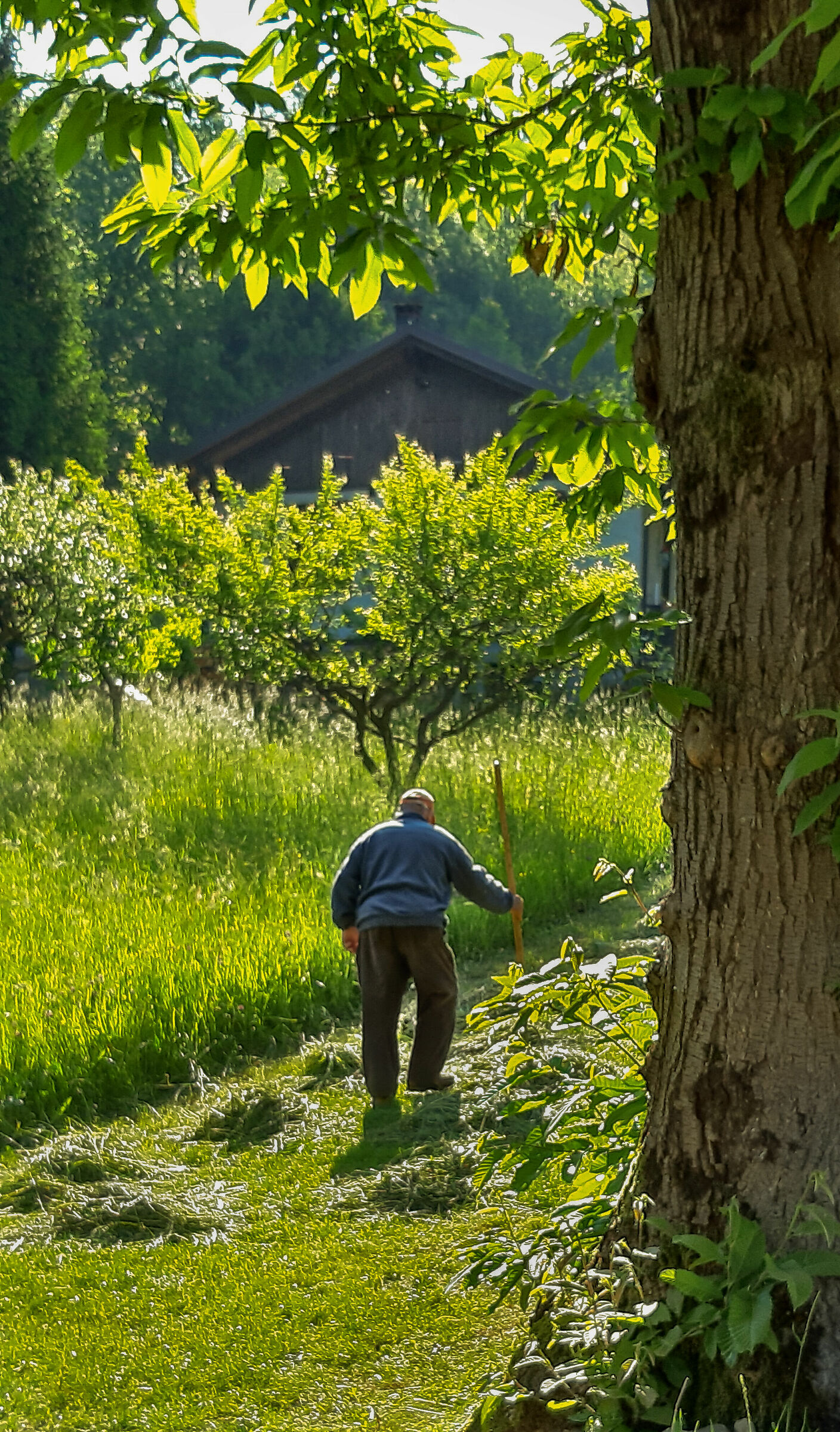 Primavera in montagna