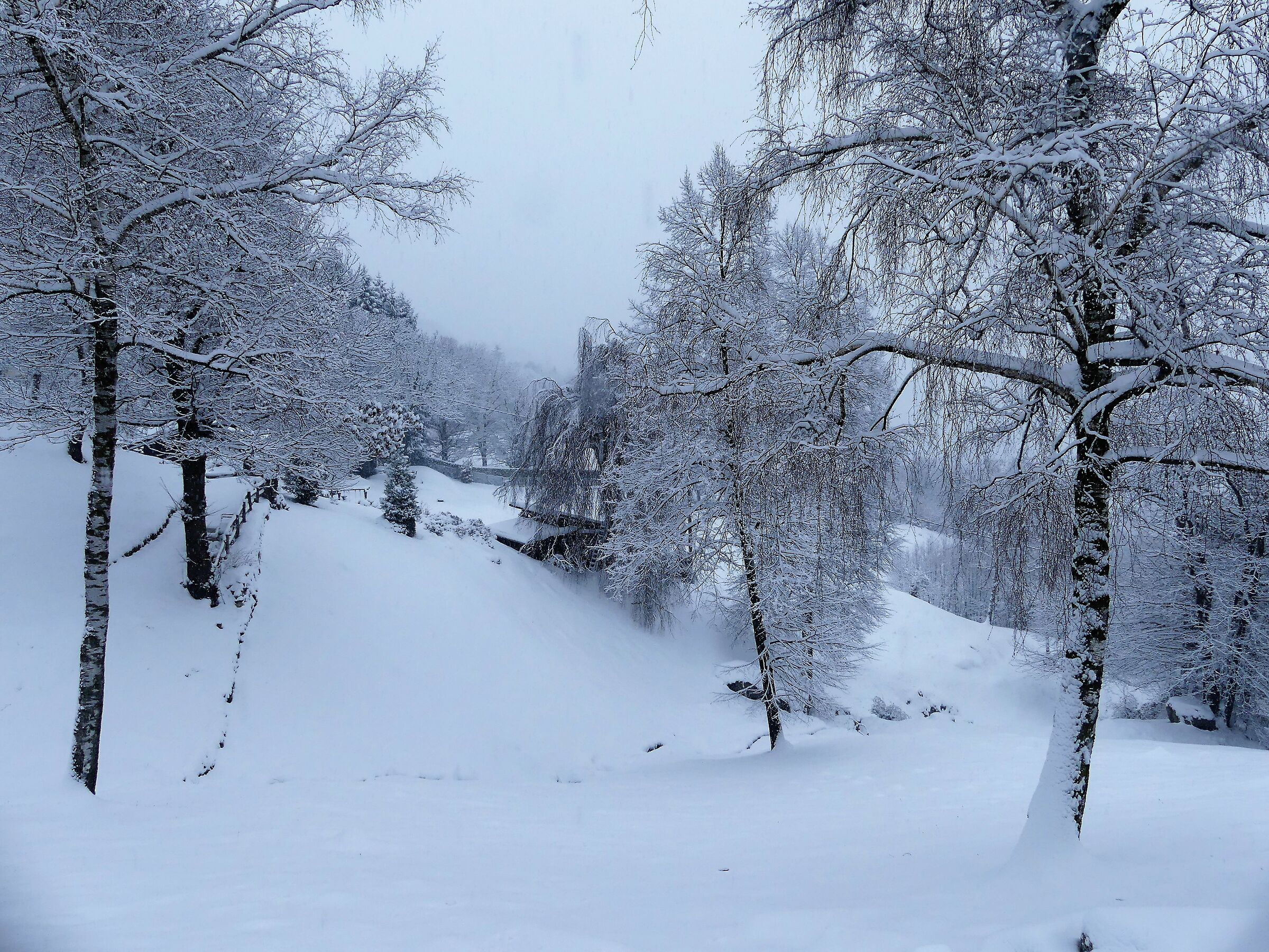 towards M. San Primo