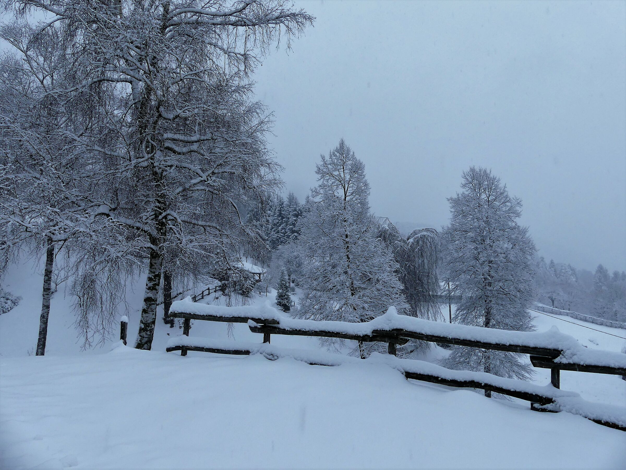 towards M. San Primo