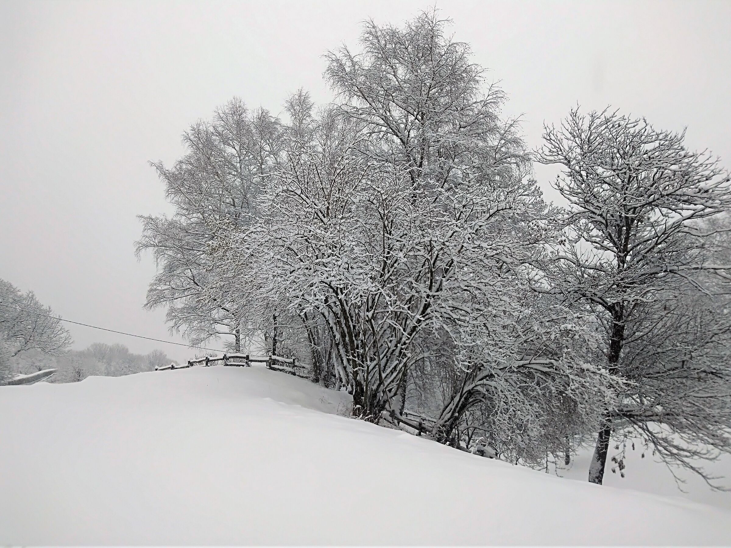 towards M. San Primo