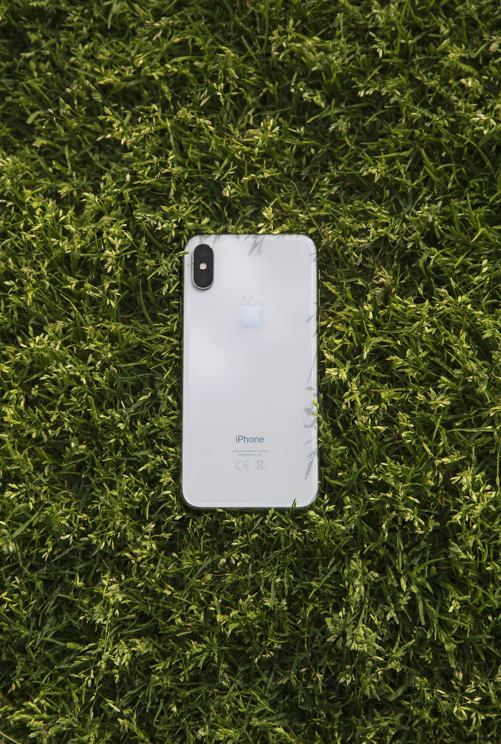 Iphone on the grass