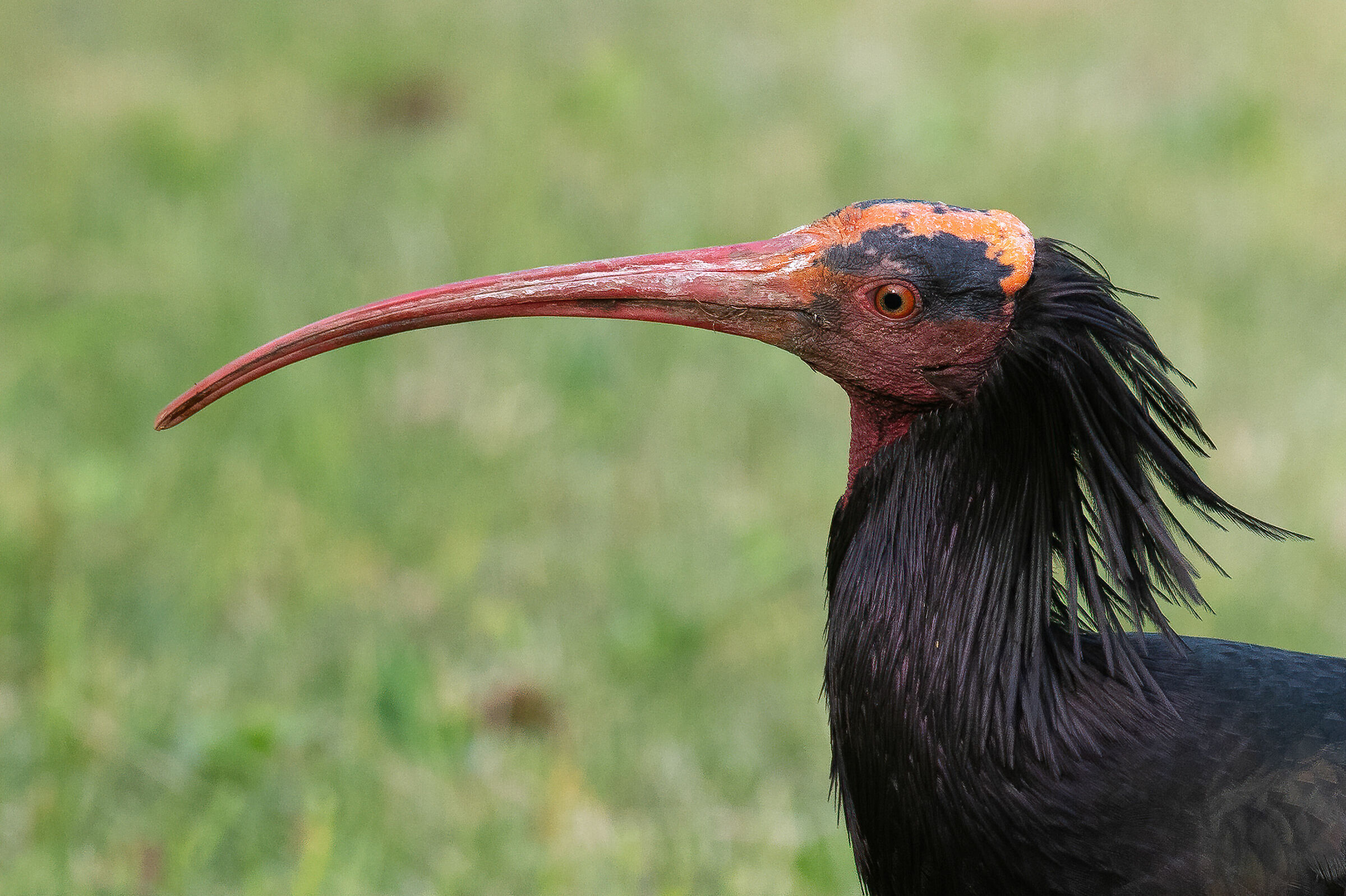 I'm beautiful, beautiful, beautiful