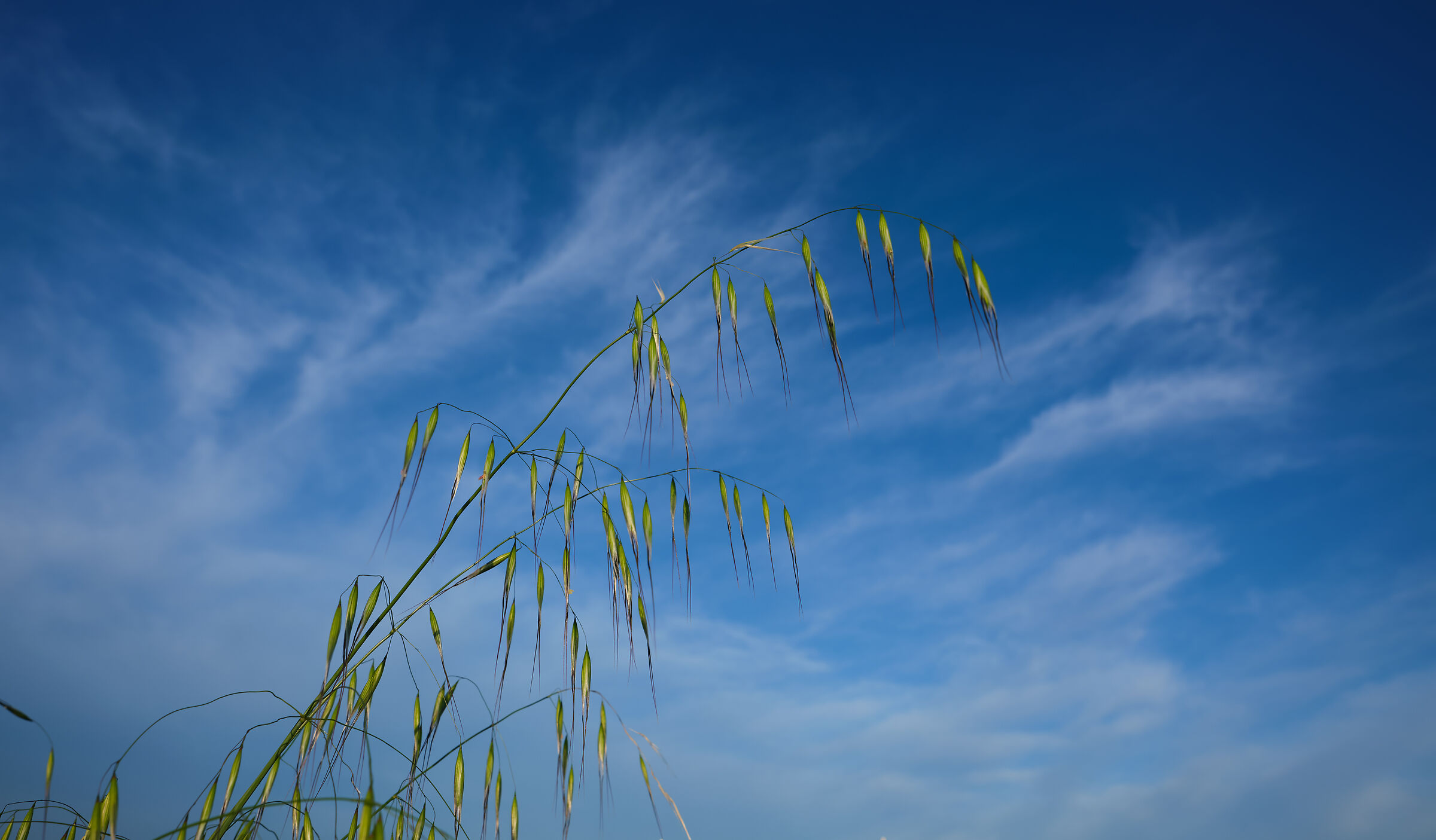 Not a plane in the sky!.........?