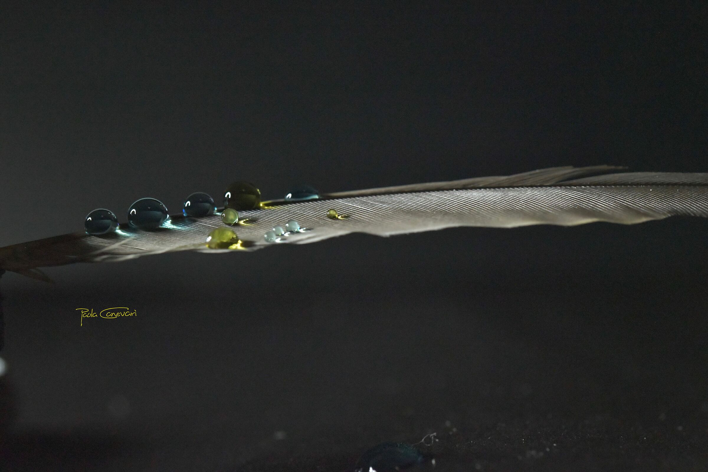 Untitled Photo
