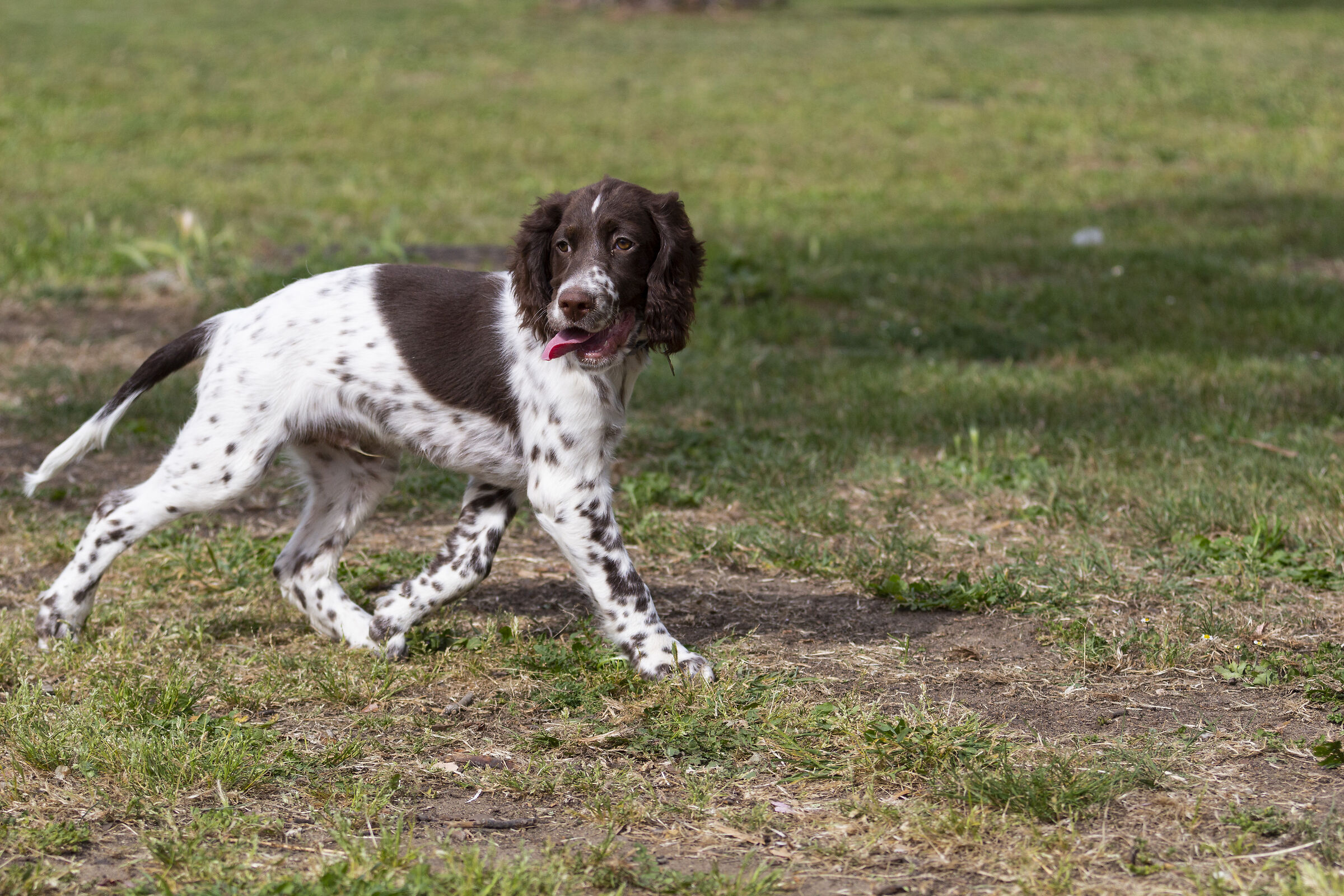 corri piccolo corri...!