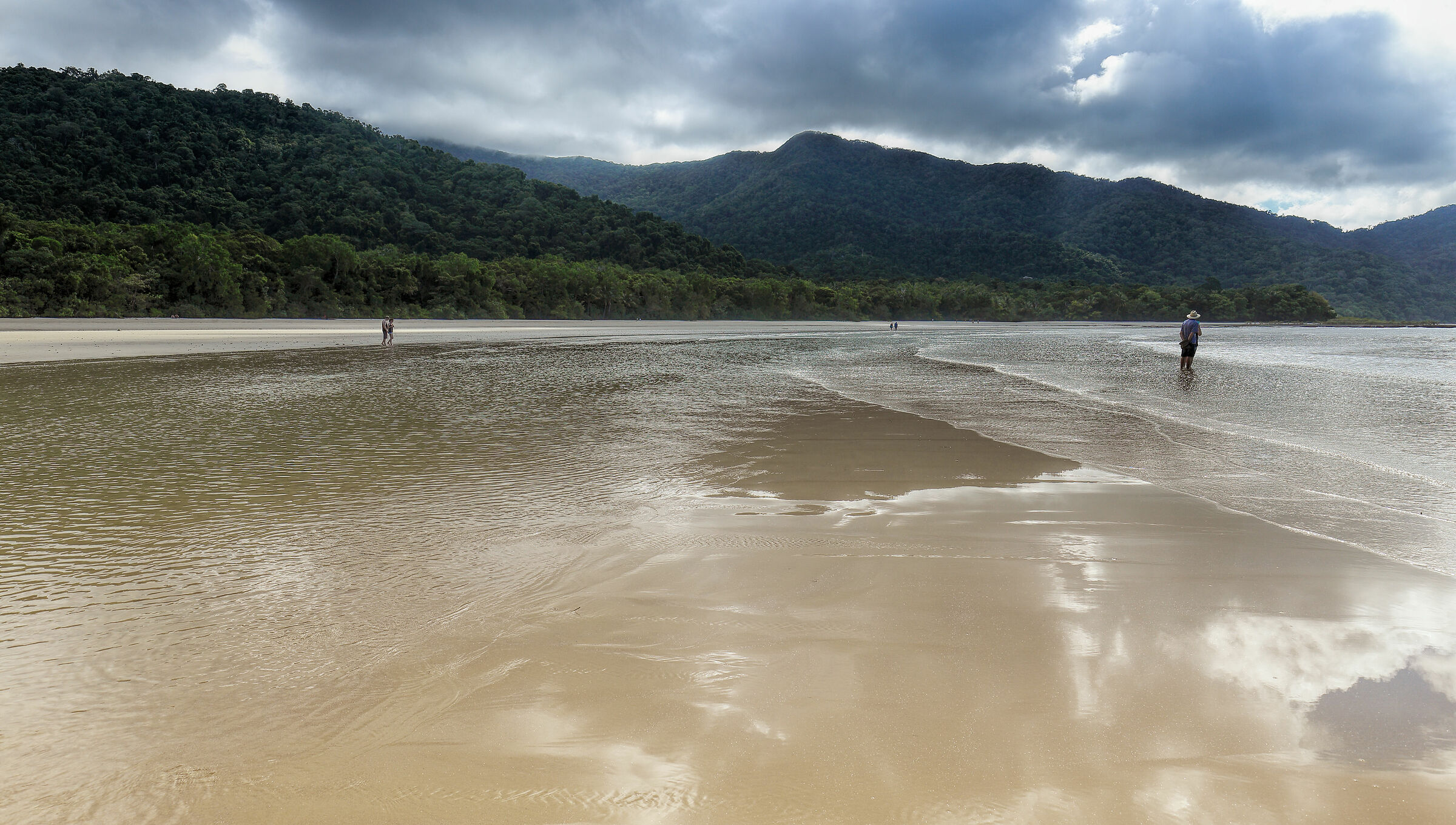 Cape Tribulation 2
