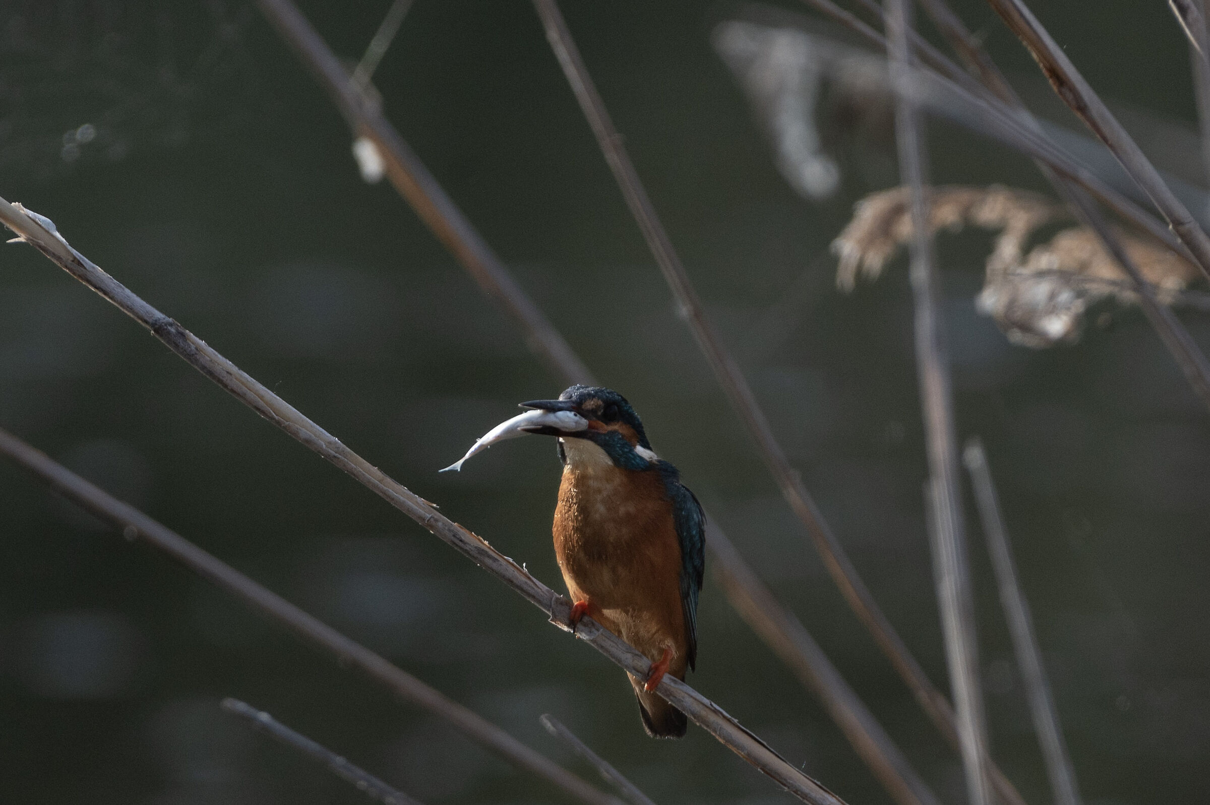 Aperitivo al tramonto