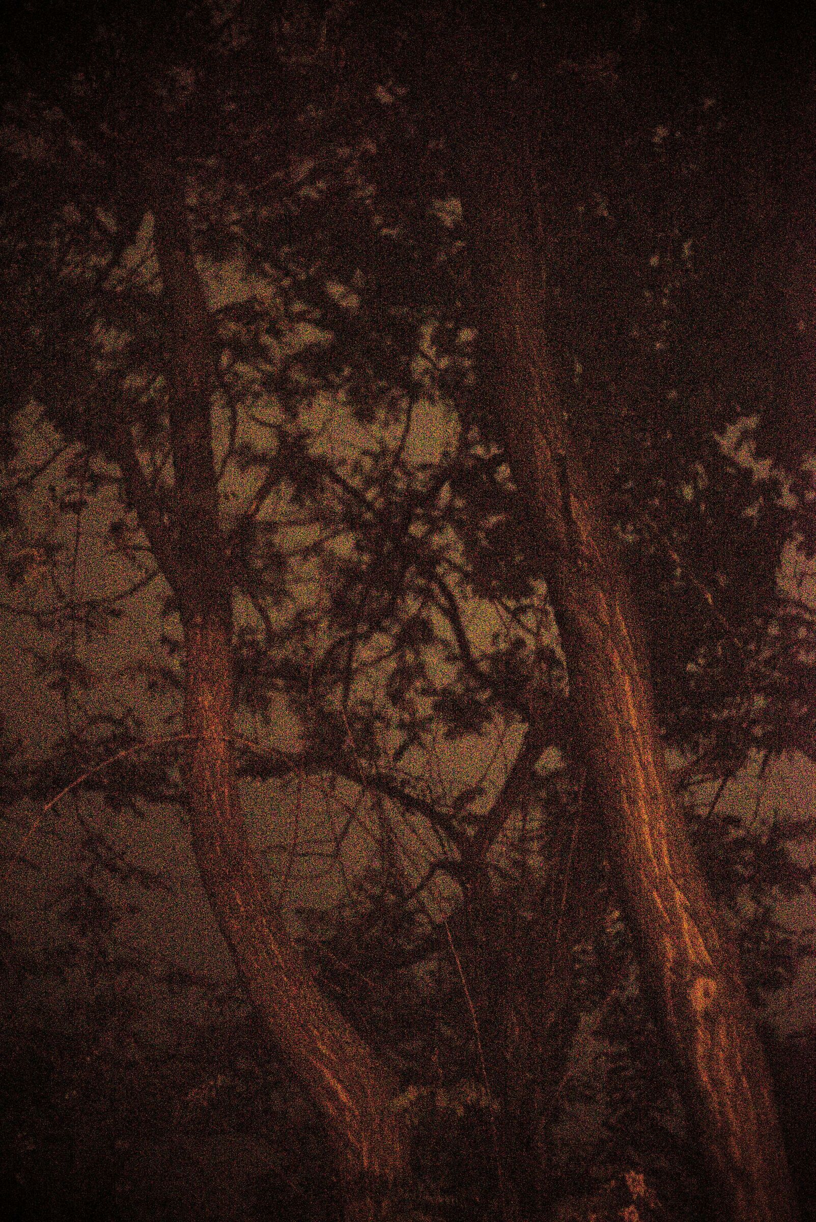 Autocromia? No, rumore notturno!