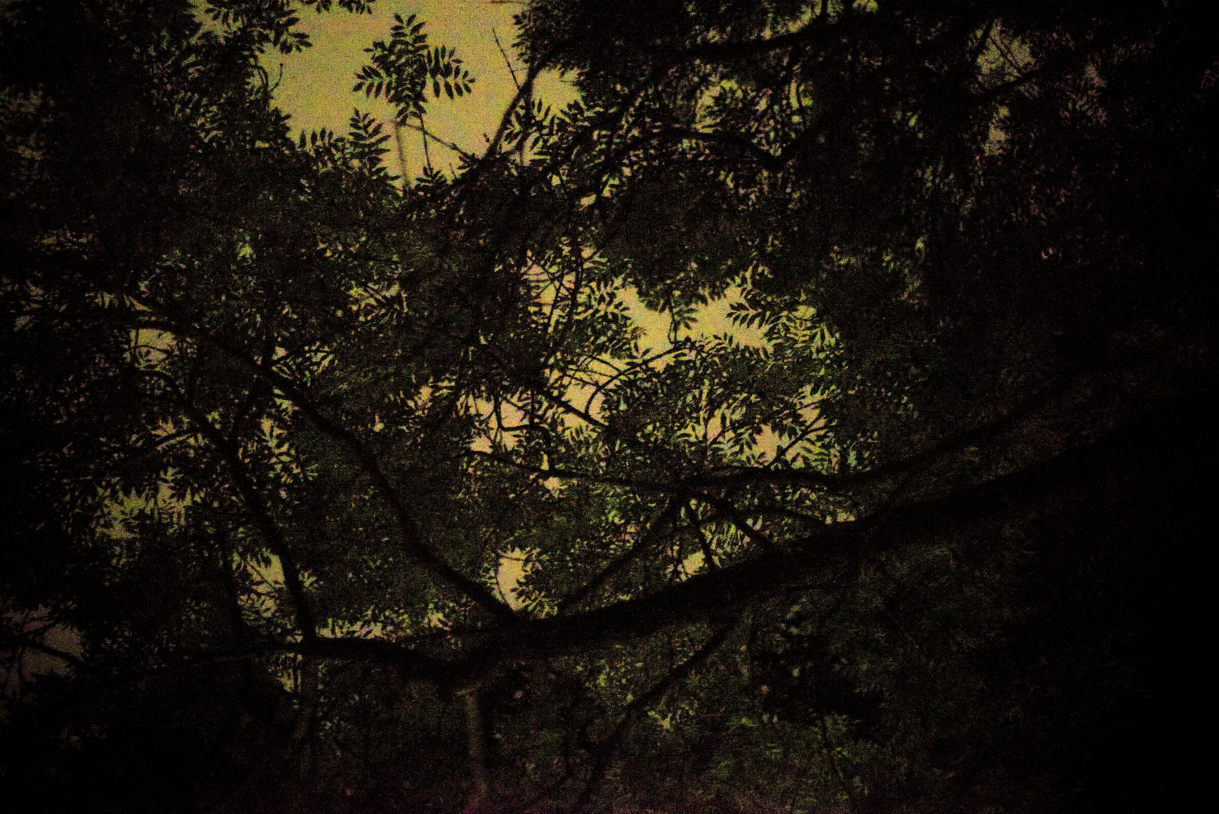 Di notte il  silenzio si fa rumoroso