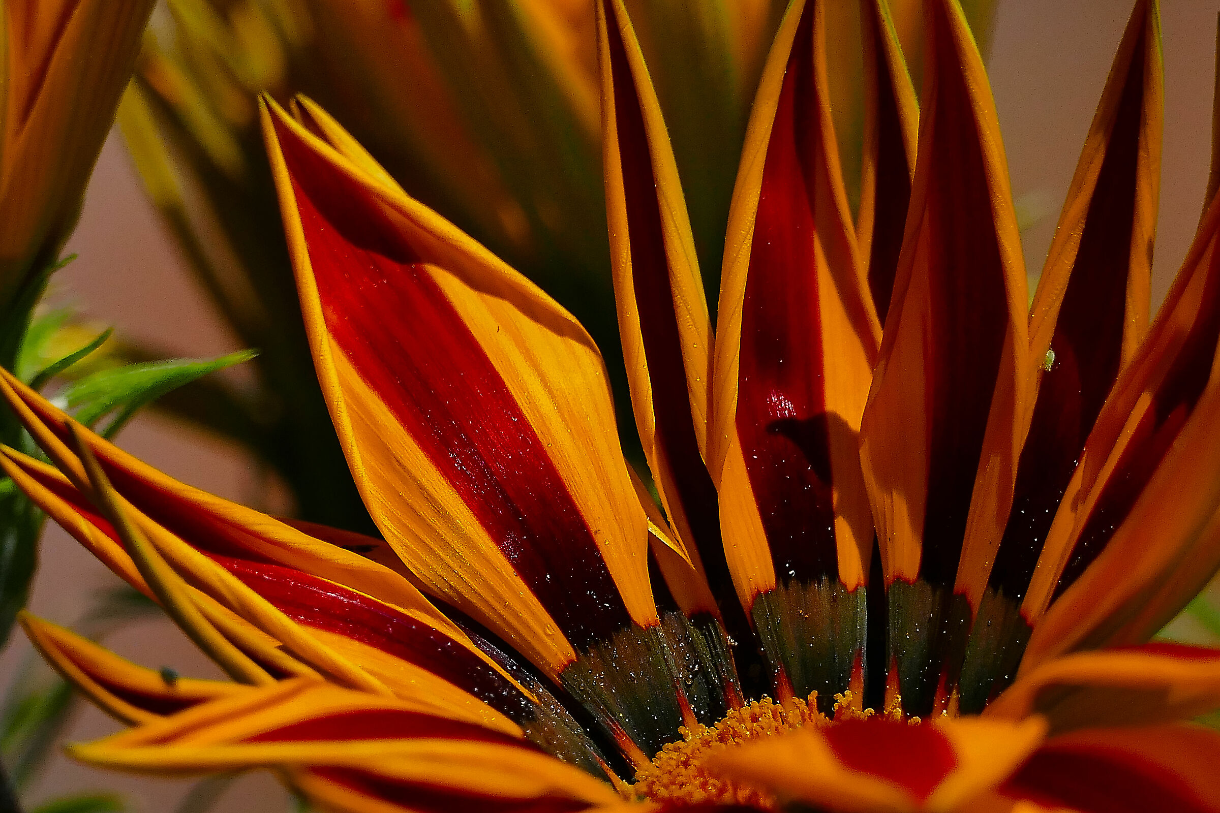 Summer colors