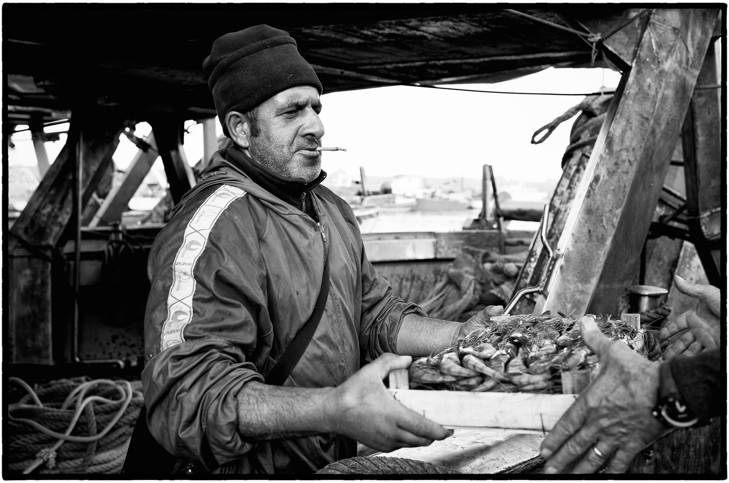 Pescatori di Bagheria (pa);