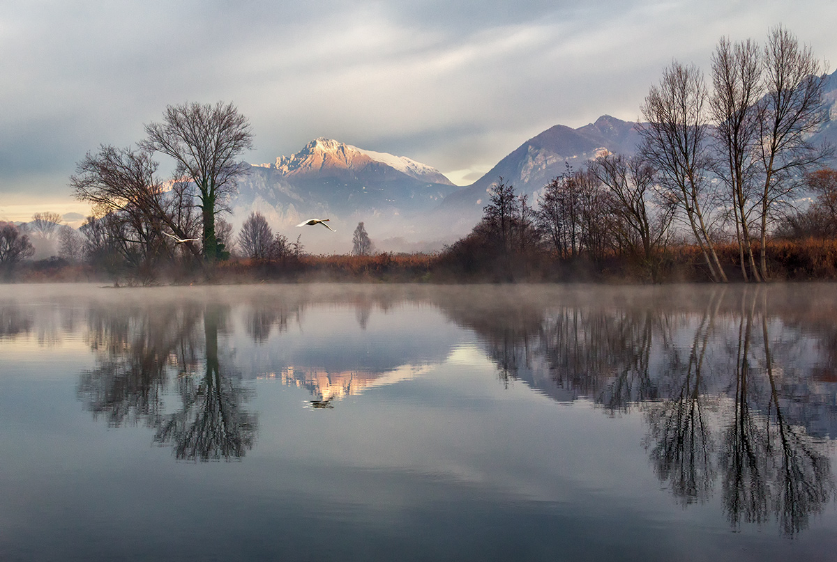 The Flight of the Kings