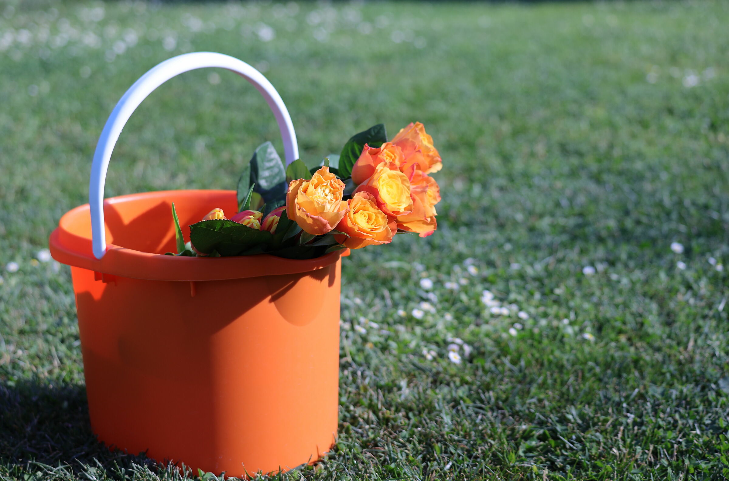 arancio is the new red