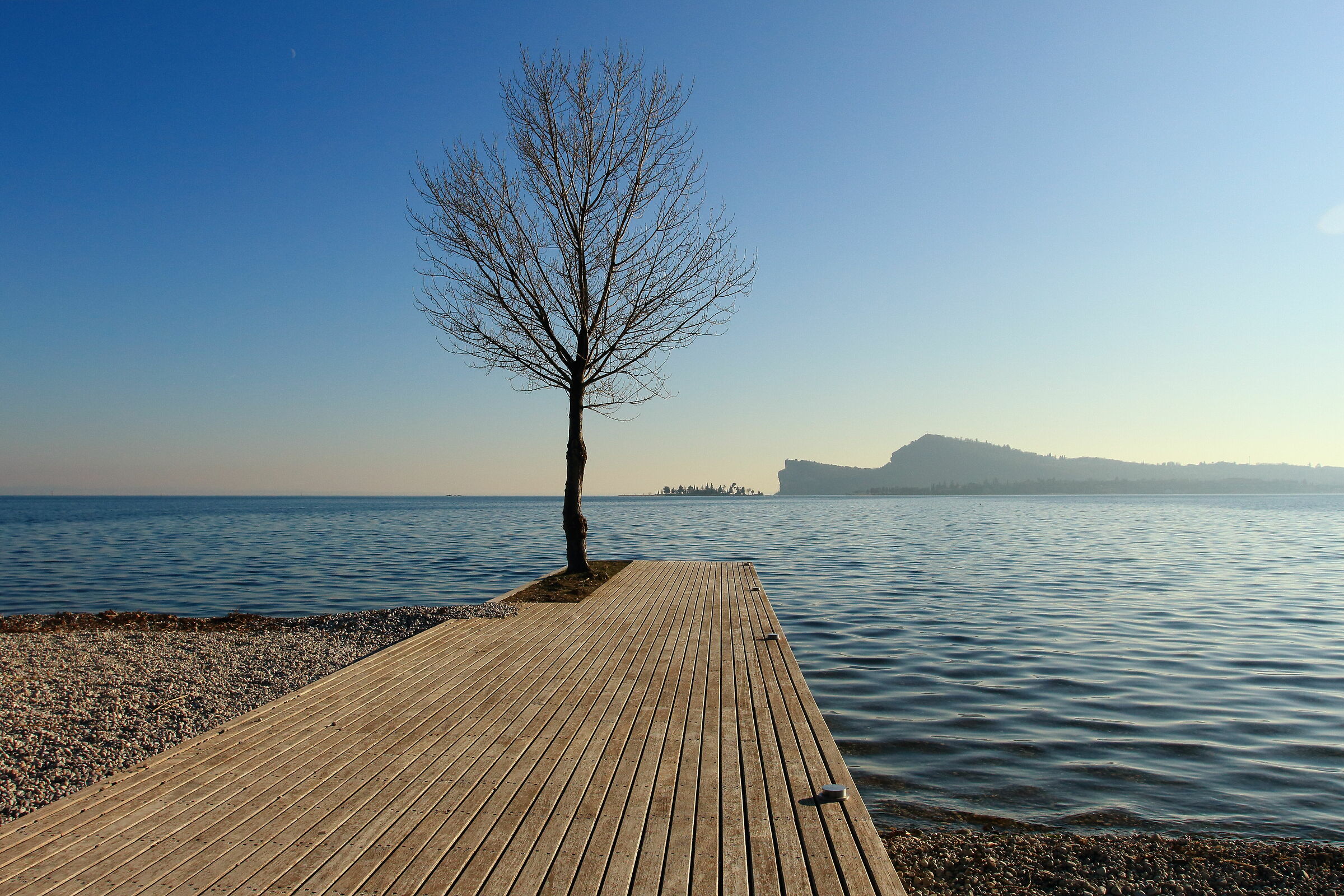Perspective on the lake