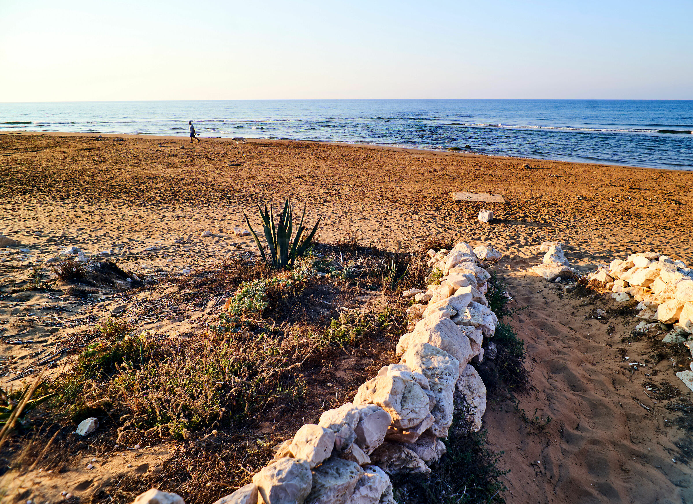 This summer... will be so.... ?