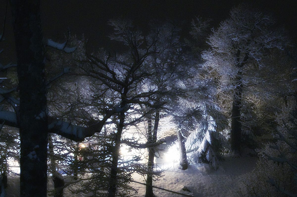 Notturno  Gennaio 2013