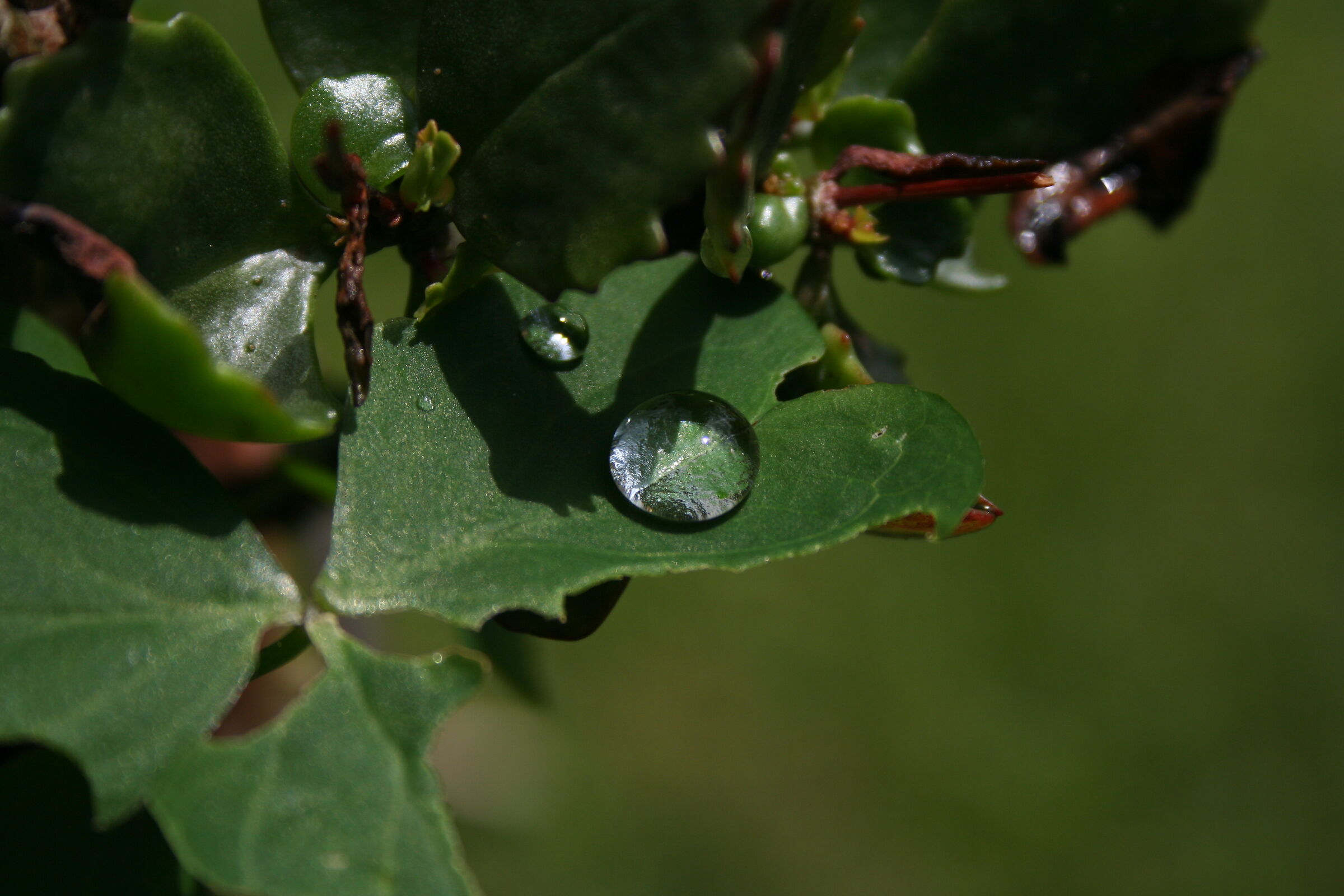 La goccia che non fa traboccare il vaso