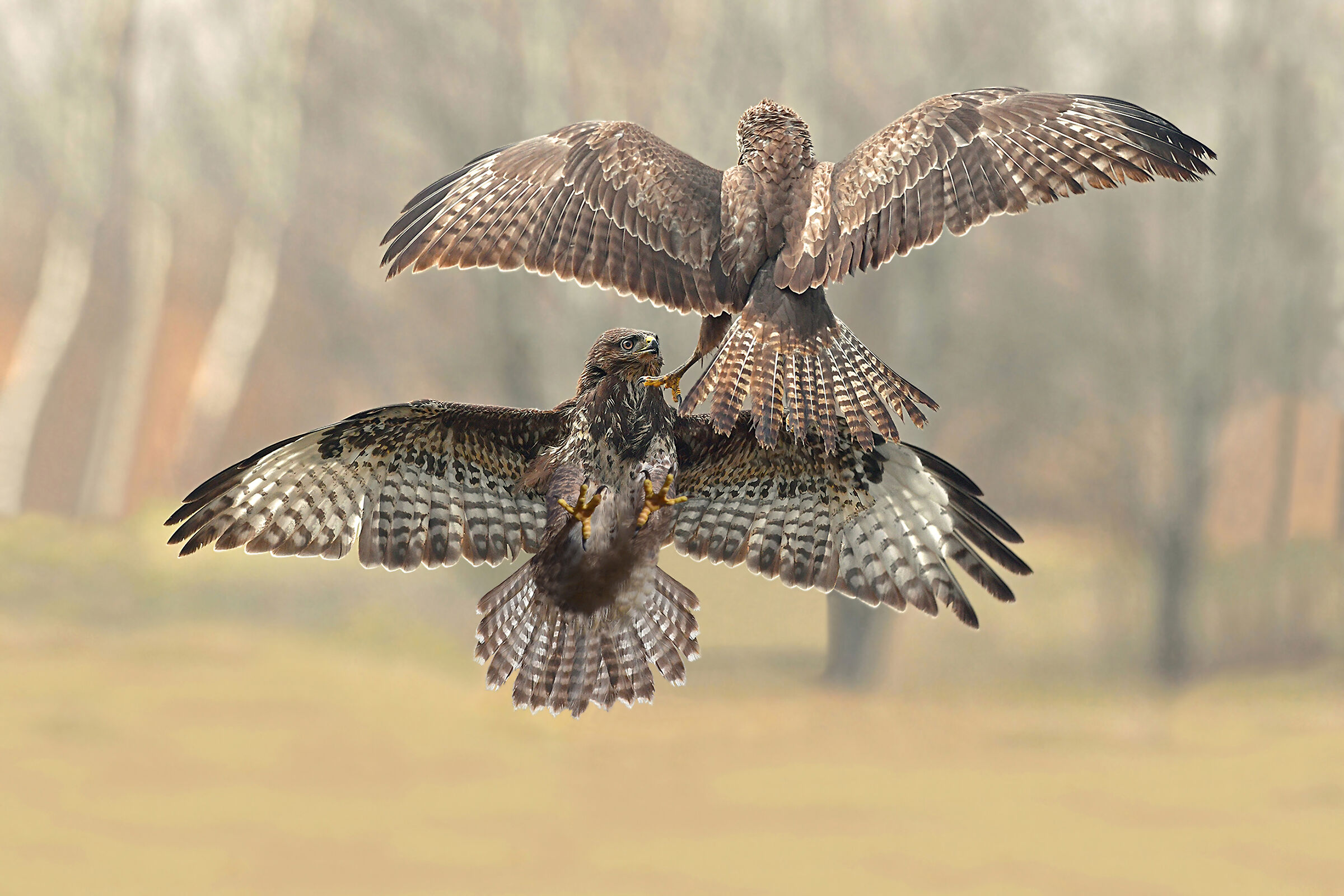 What do you want, are you mad at me?