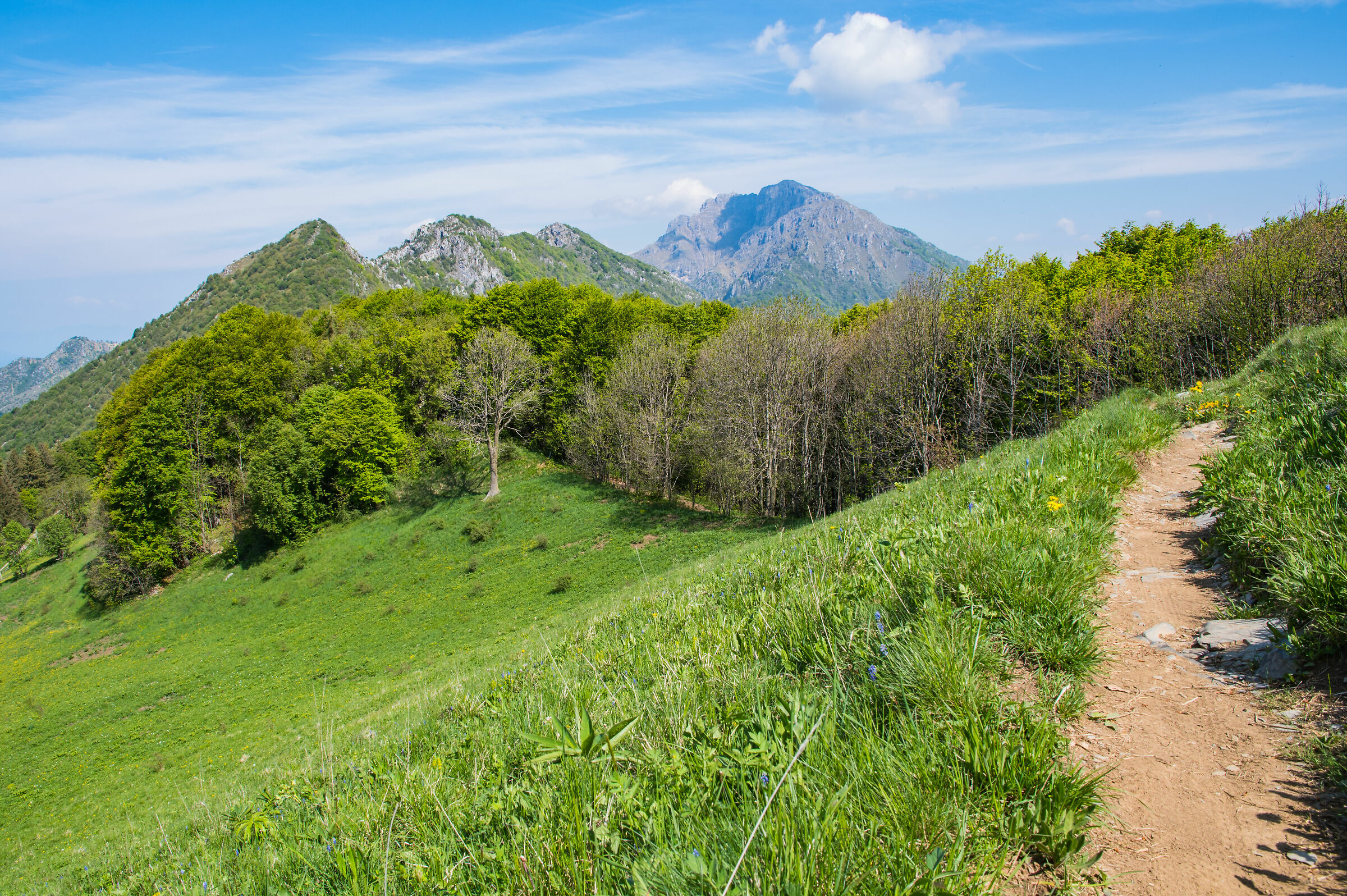 Paesaggio prealpino (dol)