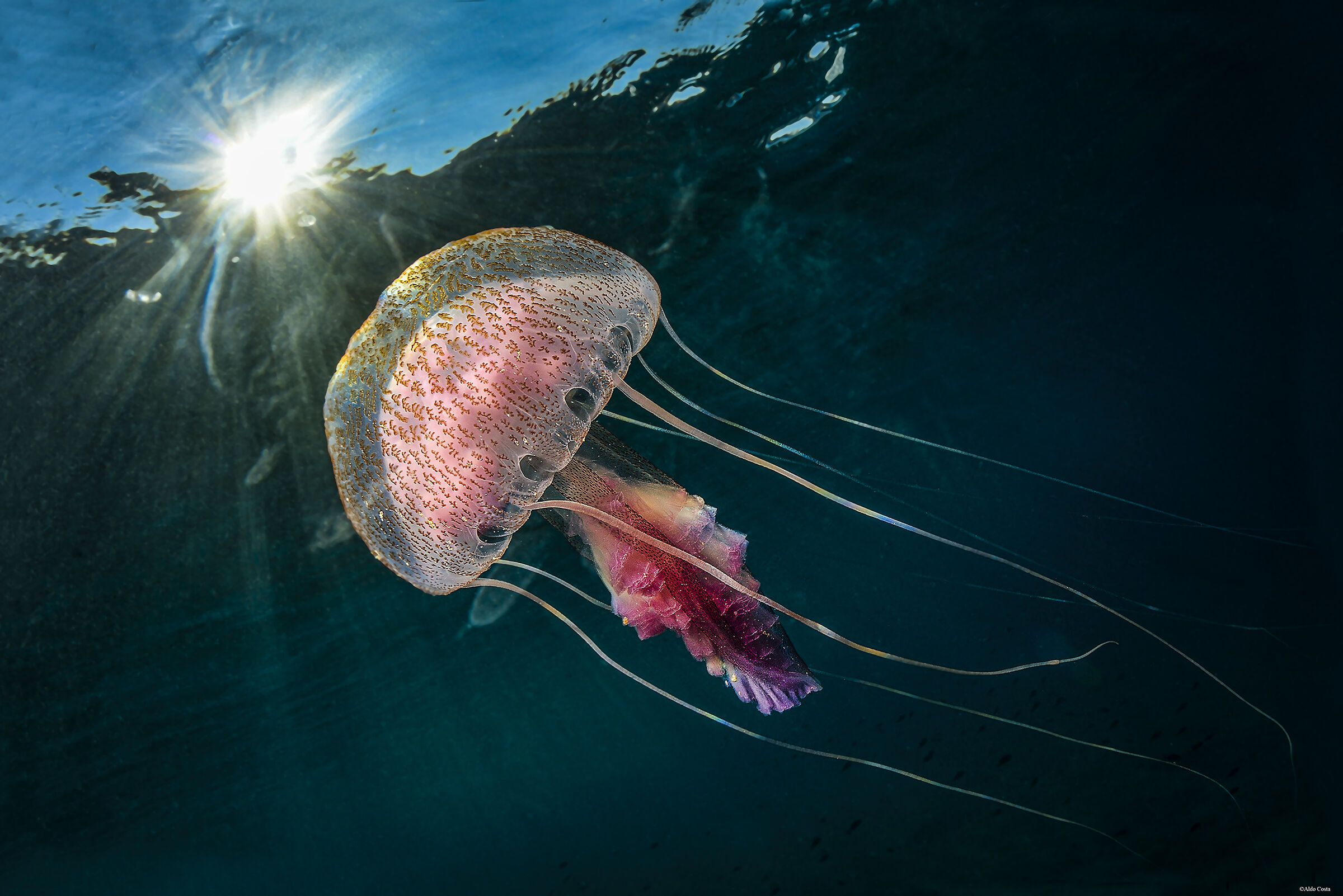 Beautiful and dangerous