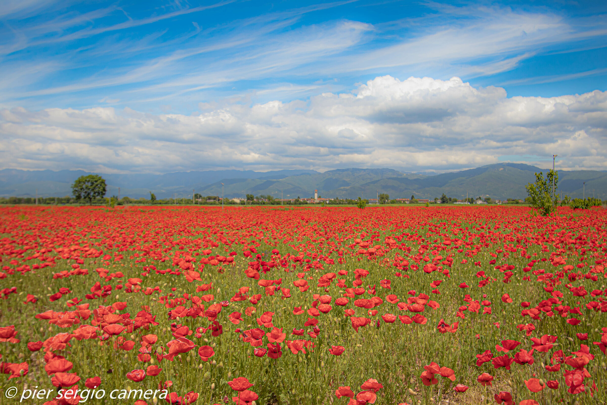 Maggio tutto e' possibile