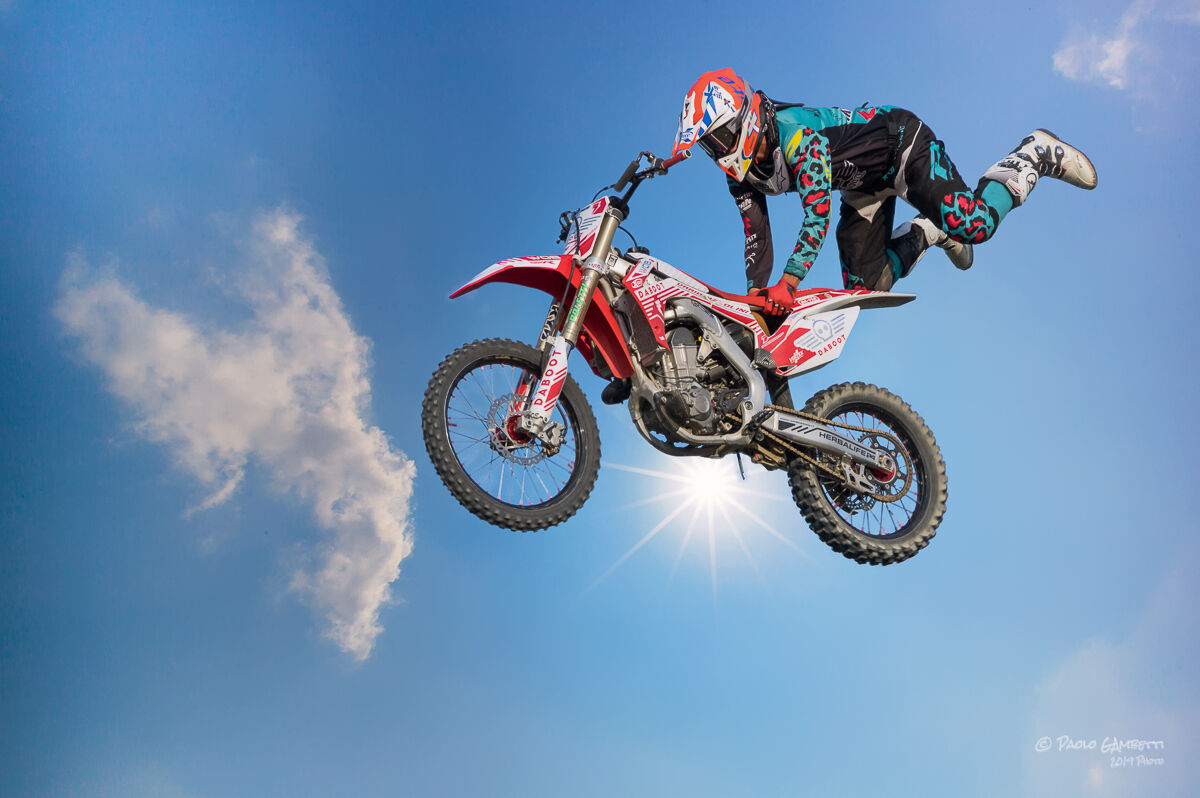 Dario through the rays