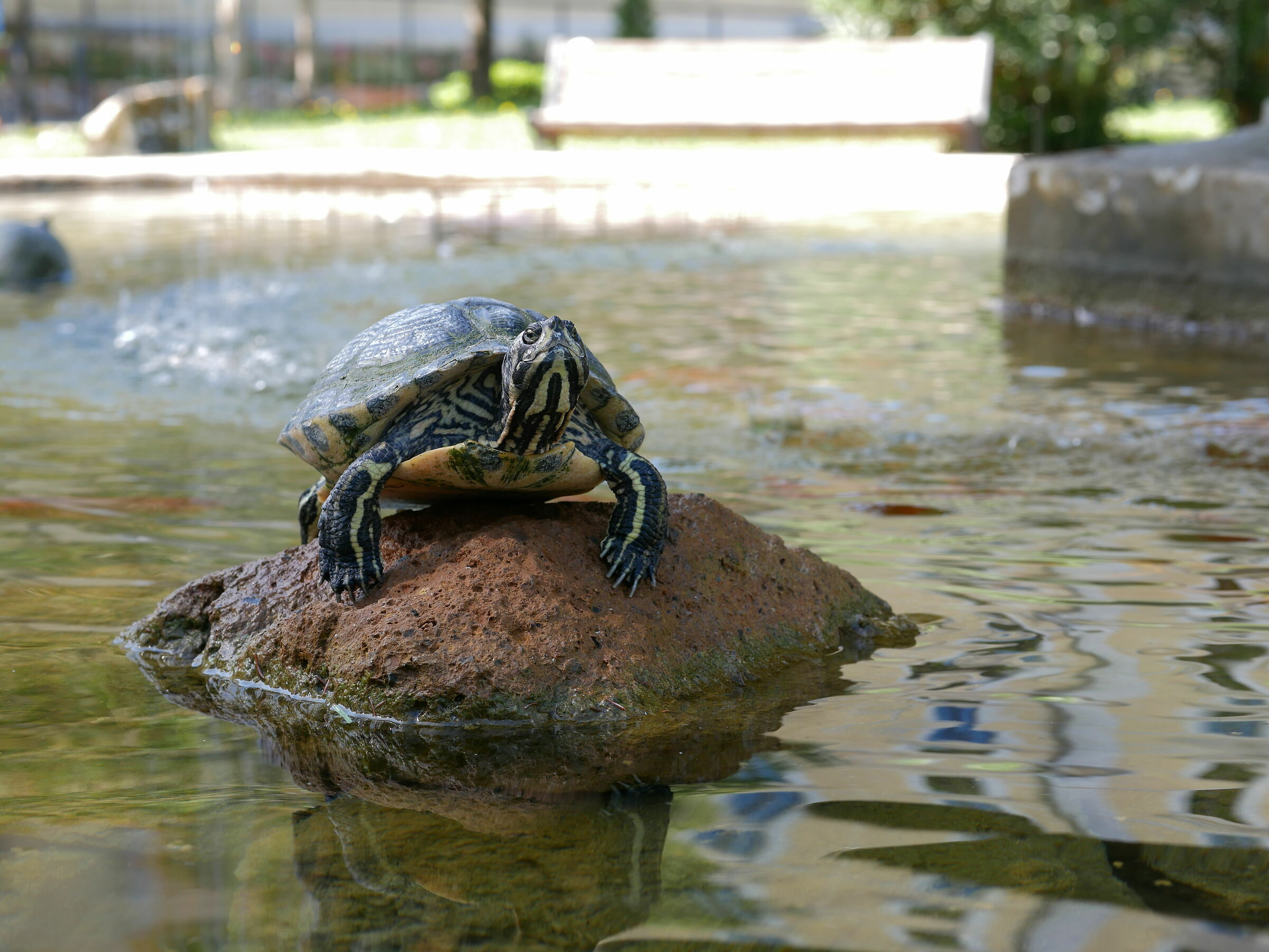 non ti muovere, ferma ferma