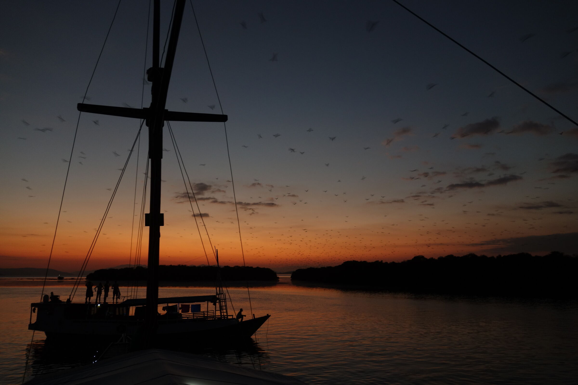 Kalong - Labuan Bajo Indonesia