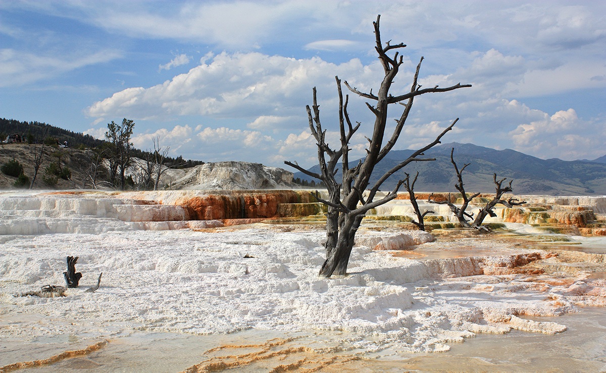 Yellowstone - Mammoth hot spring