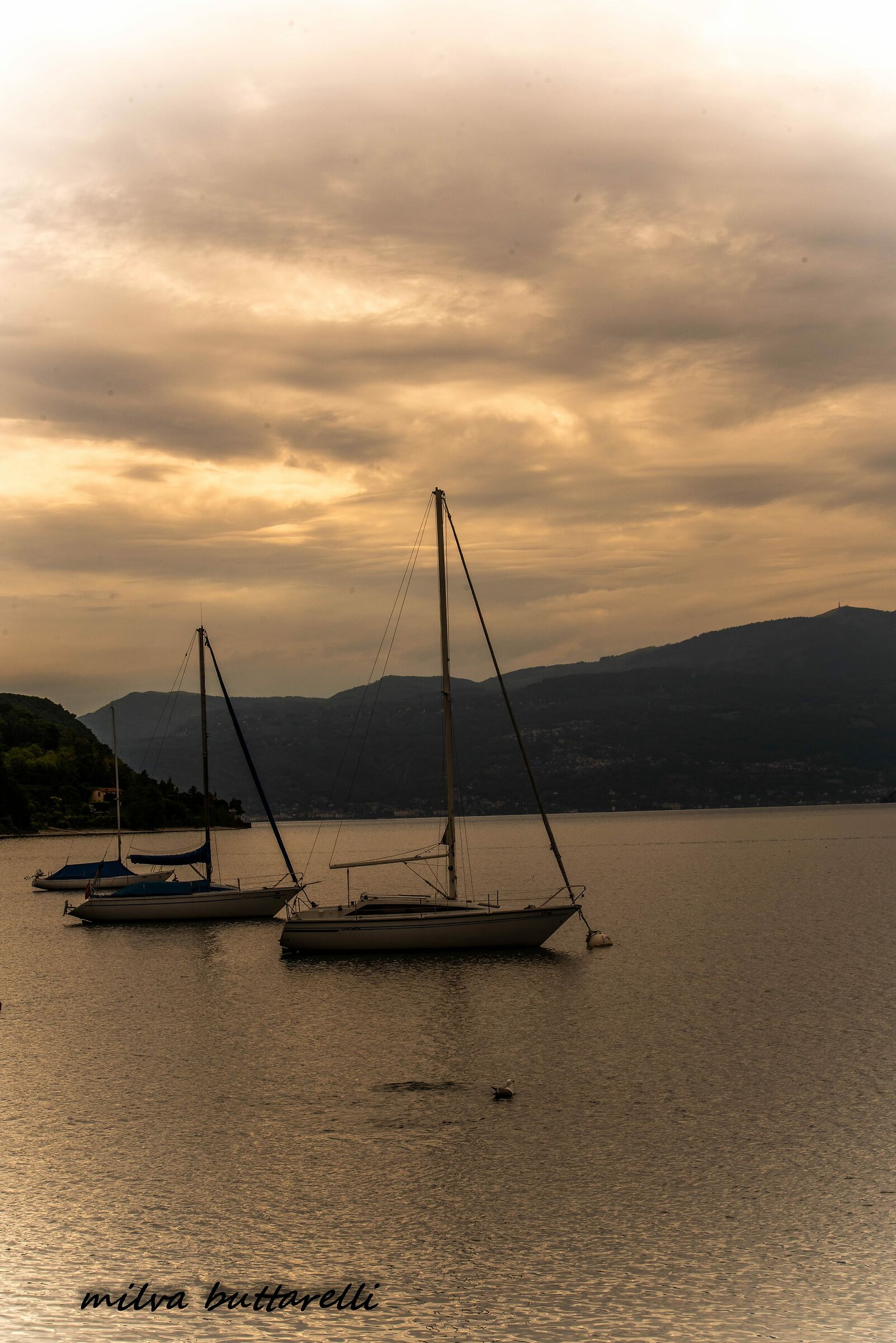Lake Maggiore