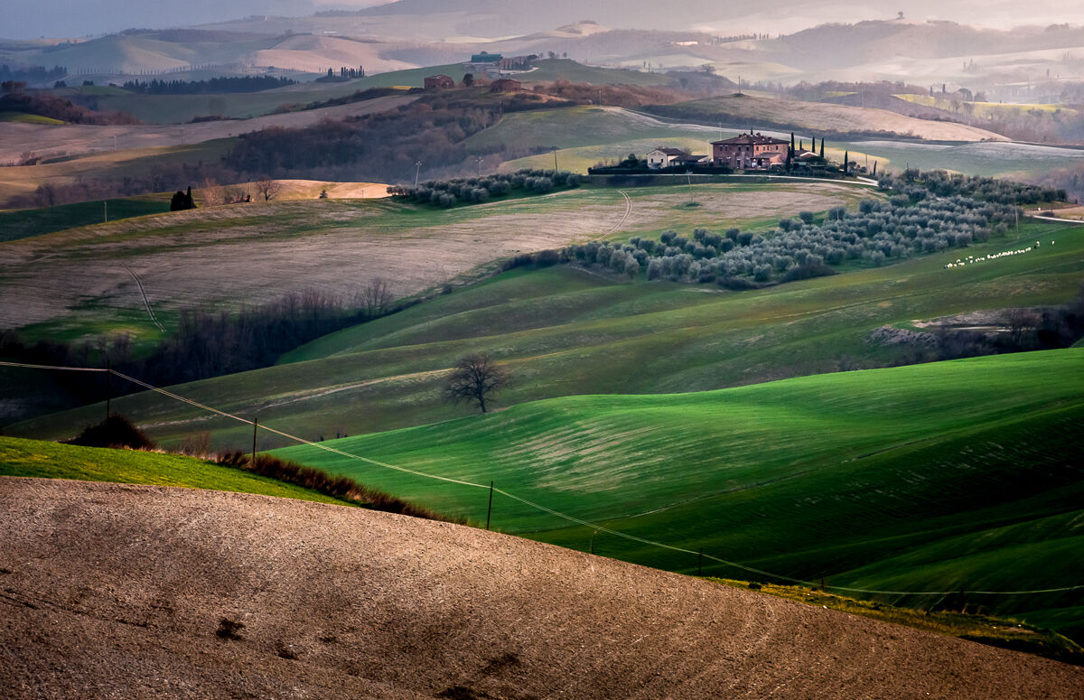 Like an oil on canvas ...