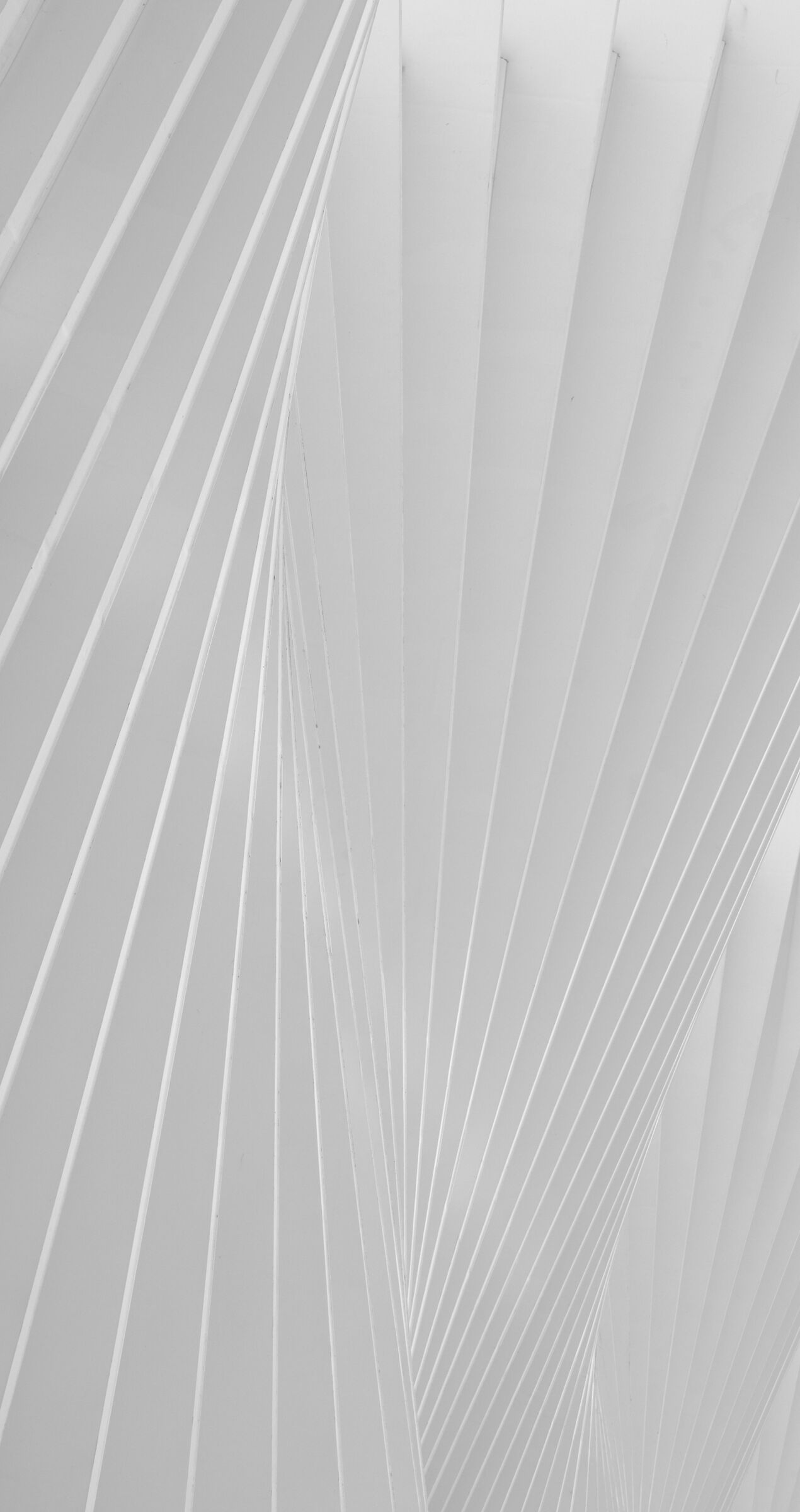 Lost in Calatrava harmony