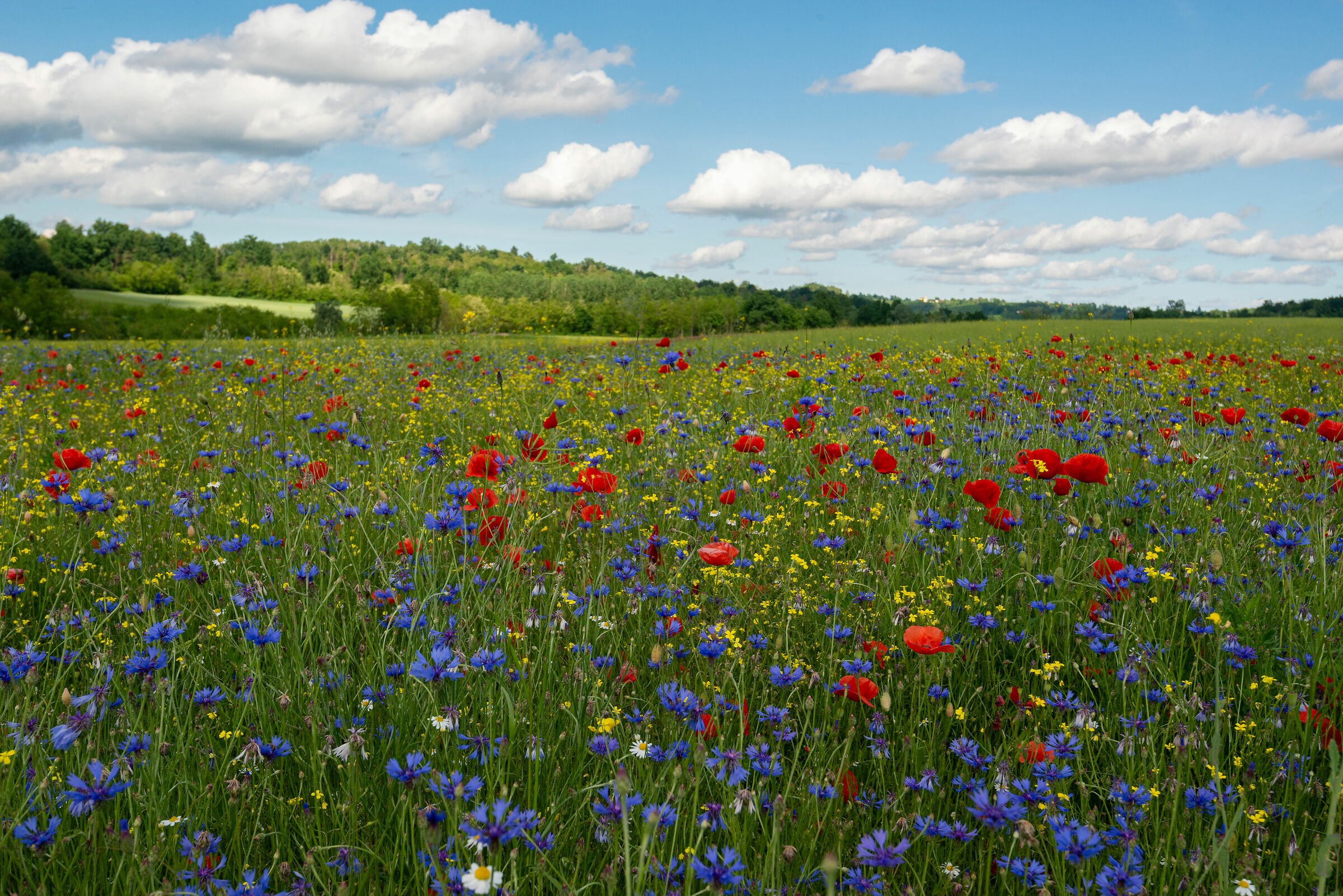 When man lets nature do it!