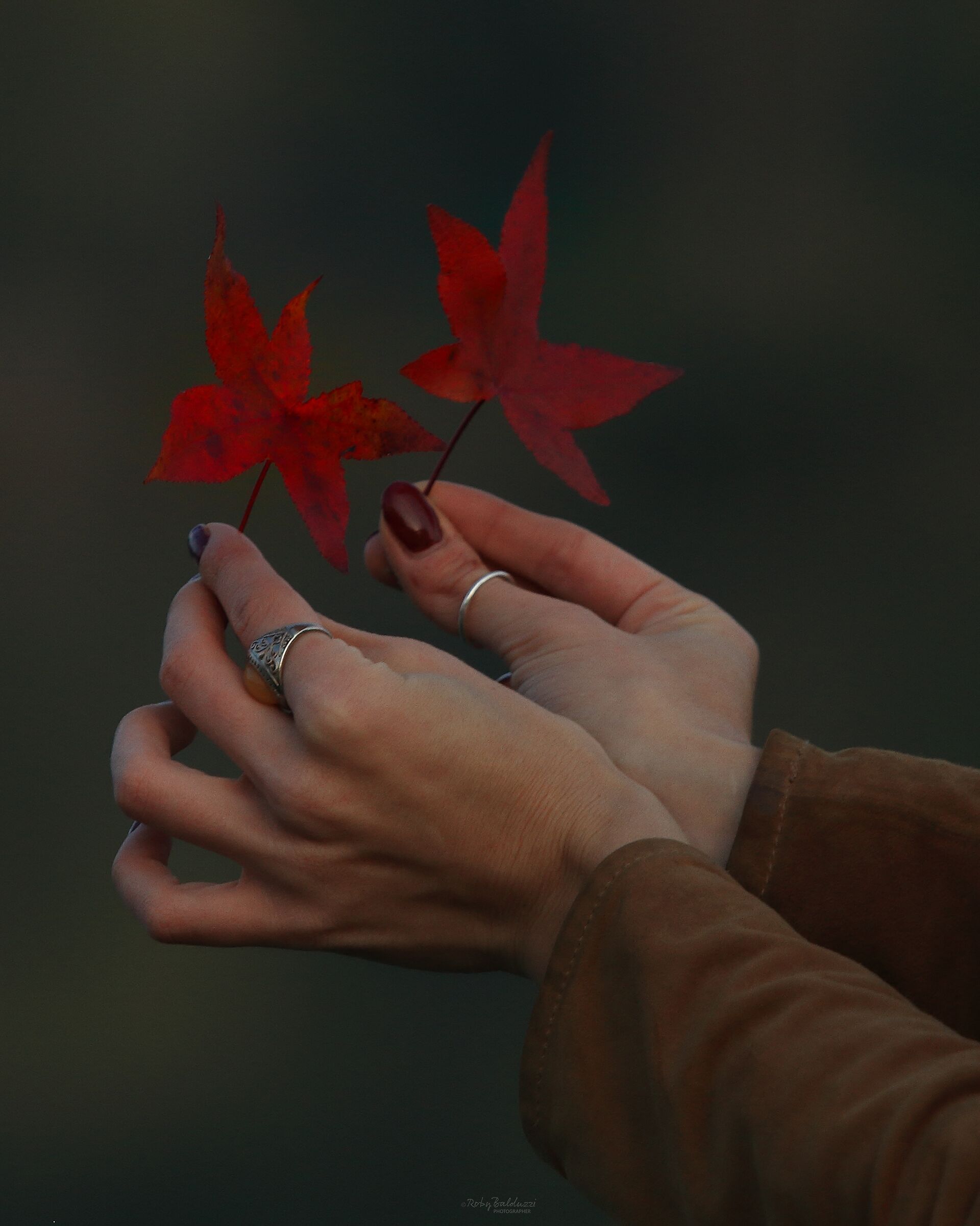 Due foglie, due mani...