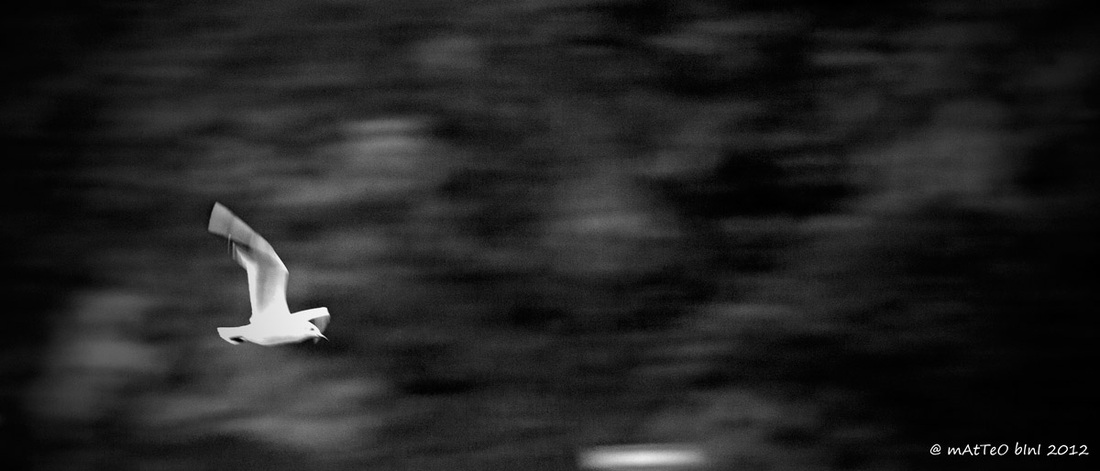 Fuga verso la libertà