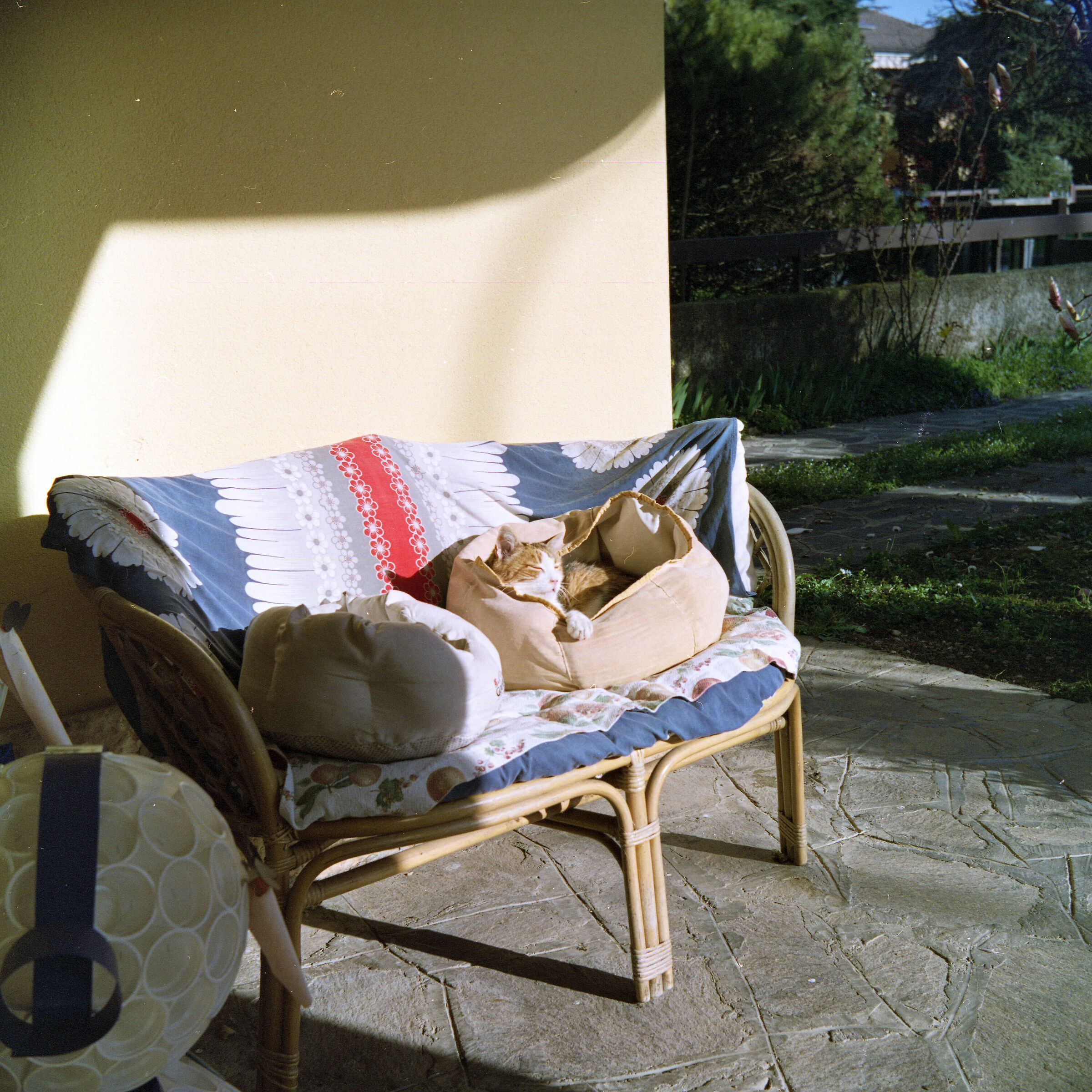 120 C41 - Cecilia Relax ..