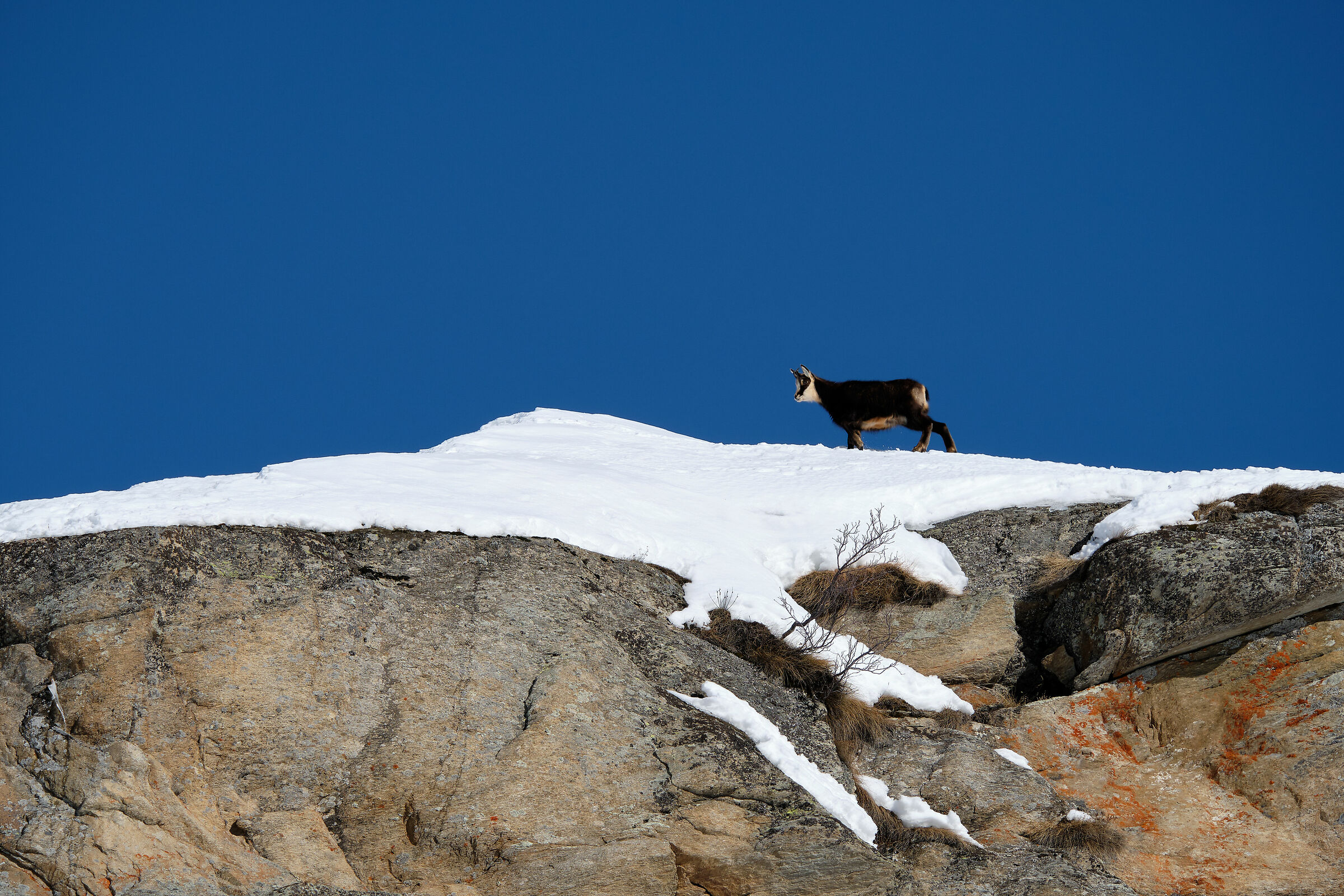Passeggiata in quota..