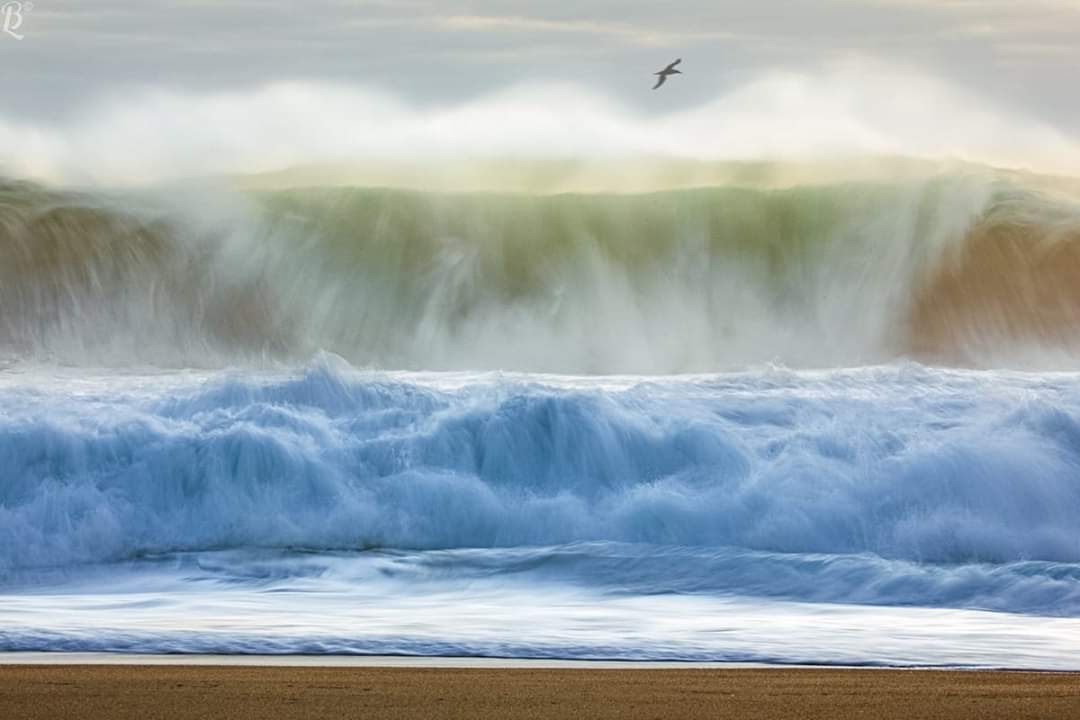 Flying over the waves