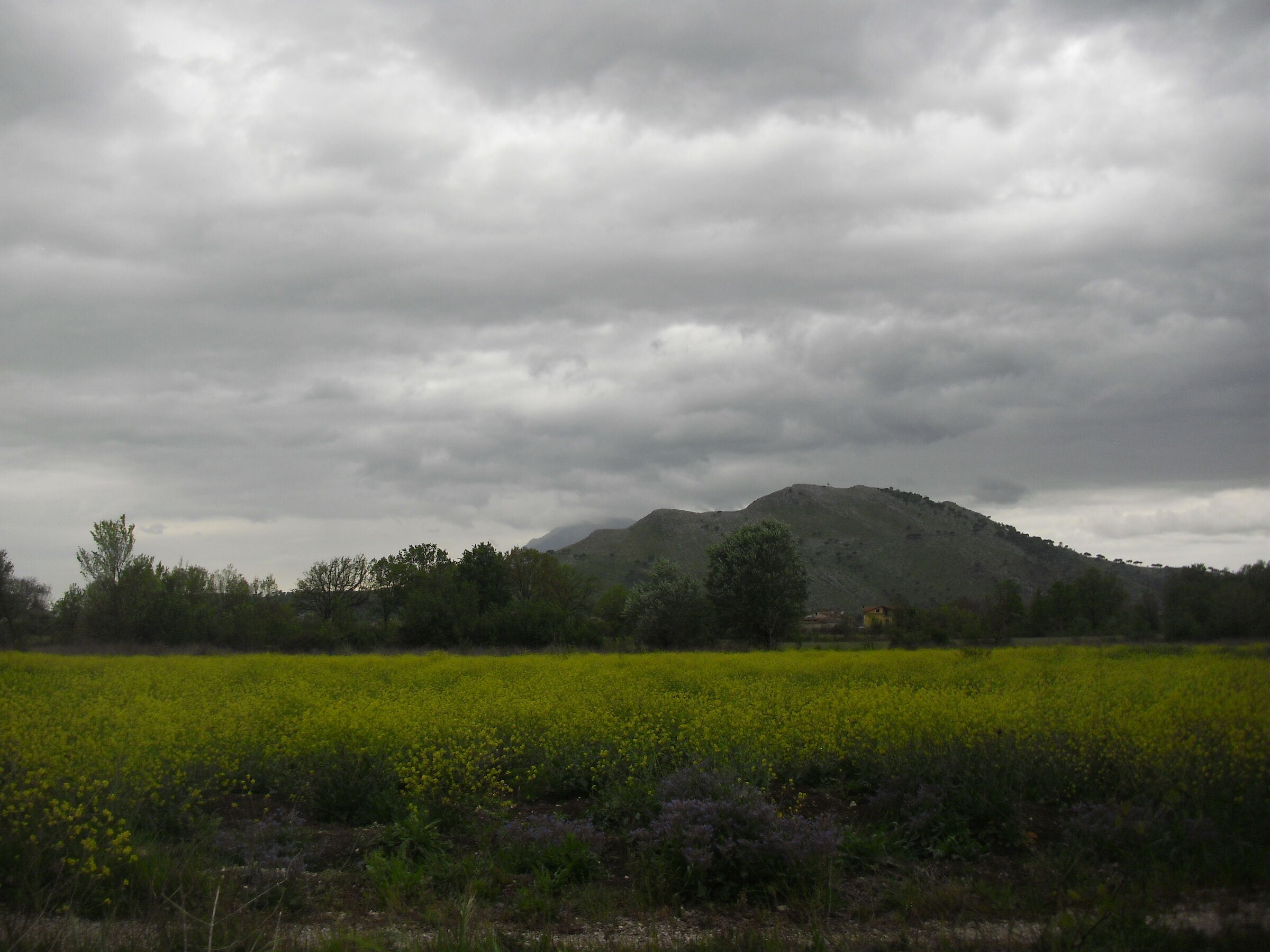 Landscape