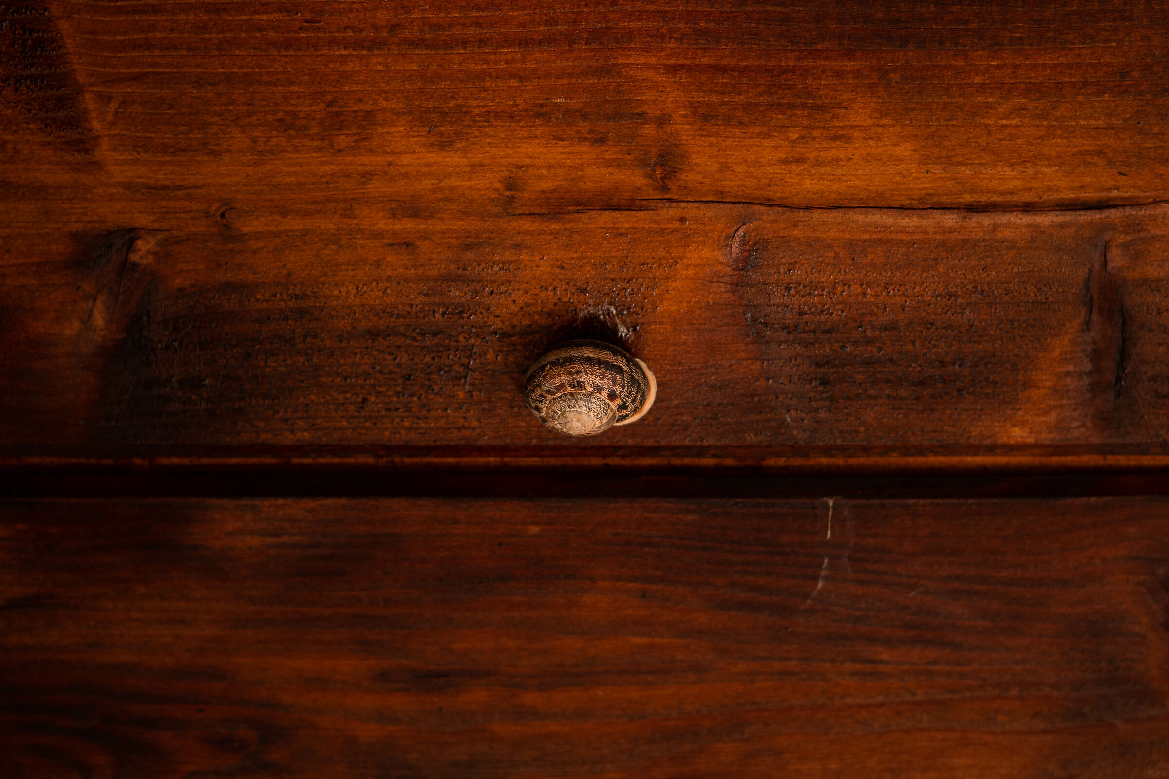 Walking on a straight path.