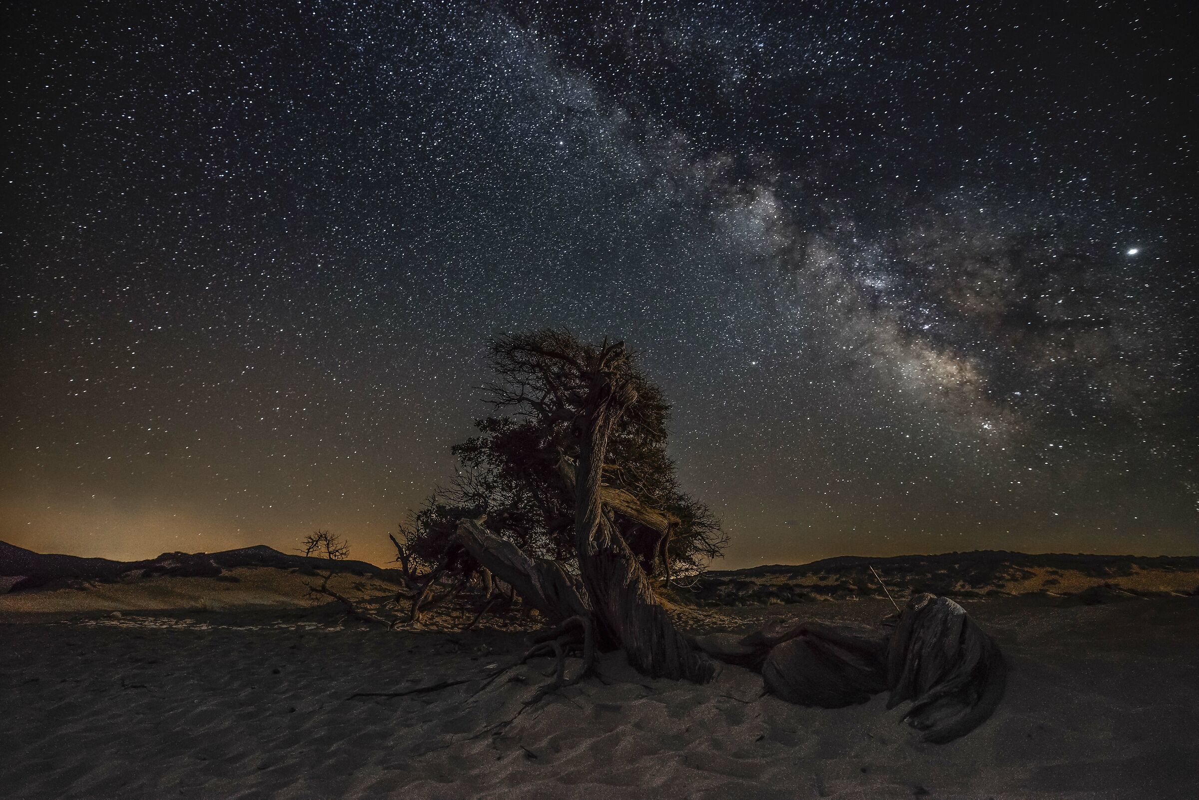 Remembrance of a summer night, the juniper of pools