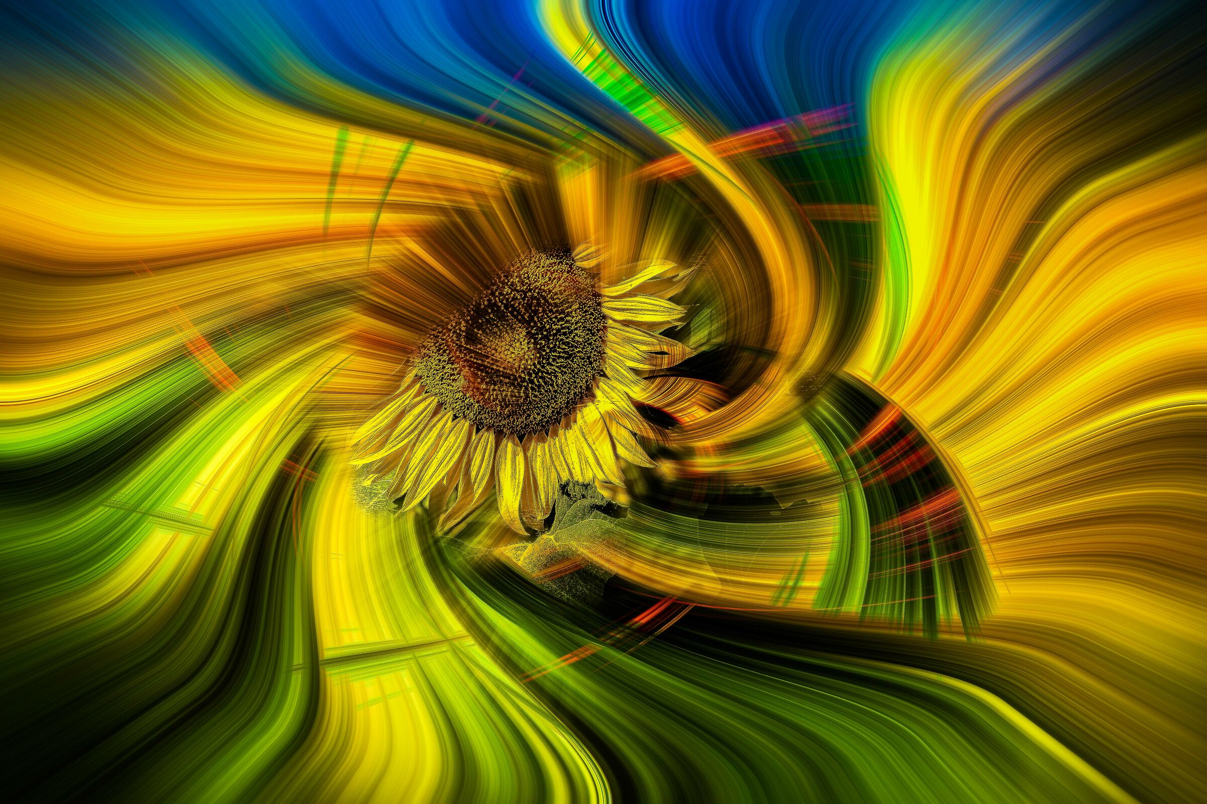 effetto twirl con girasole