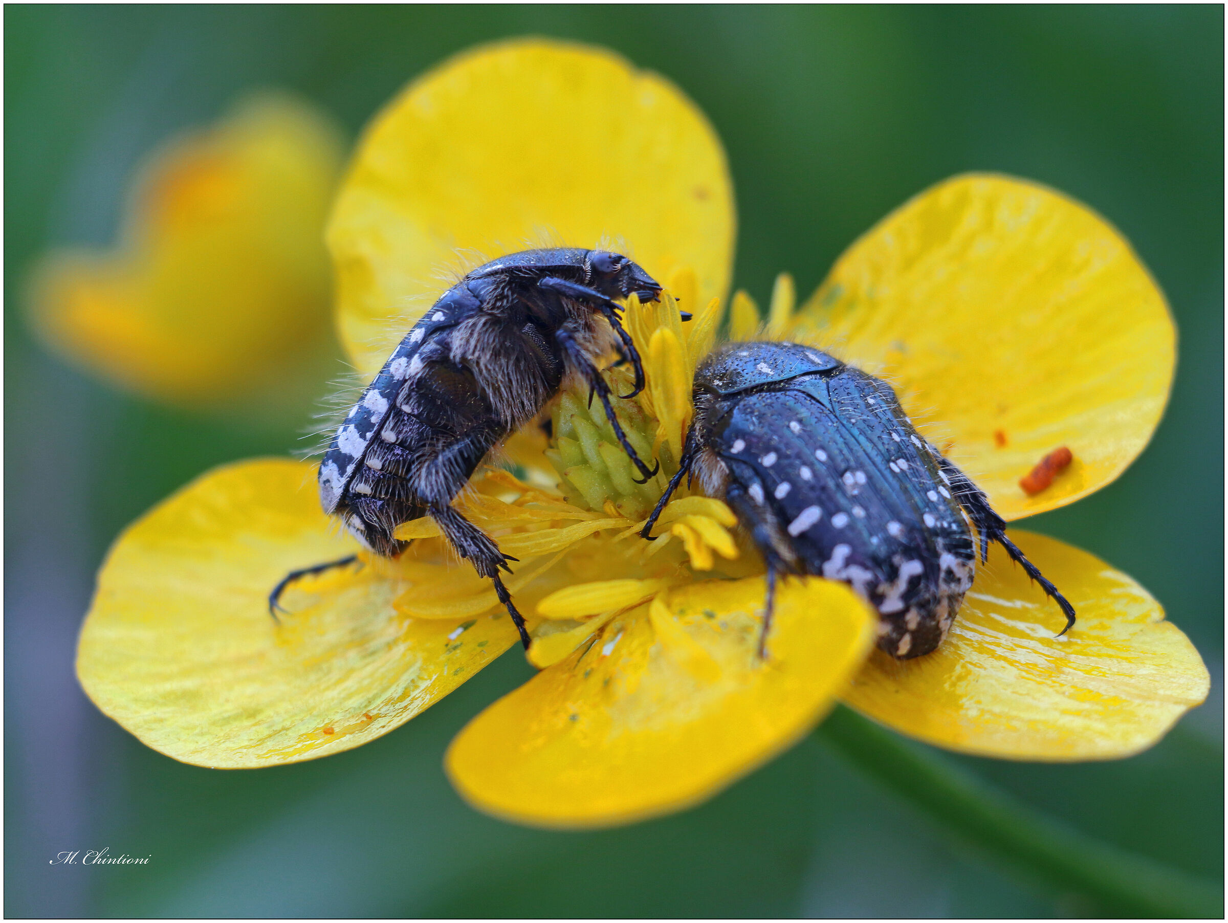 "...2 posti al Sole"