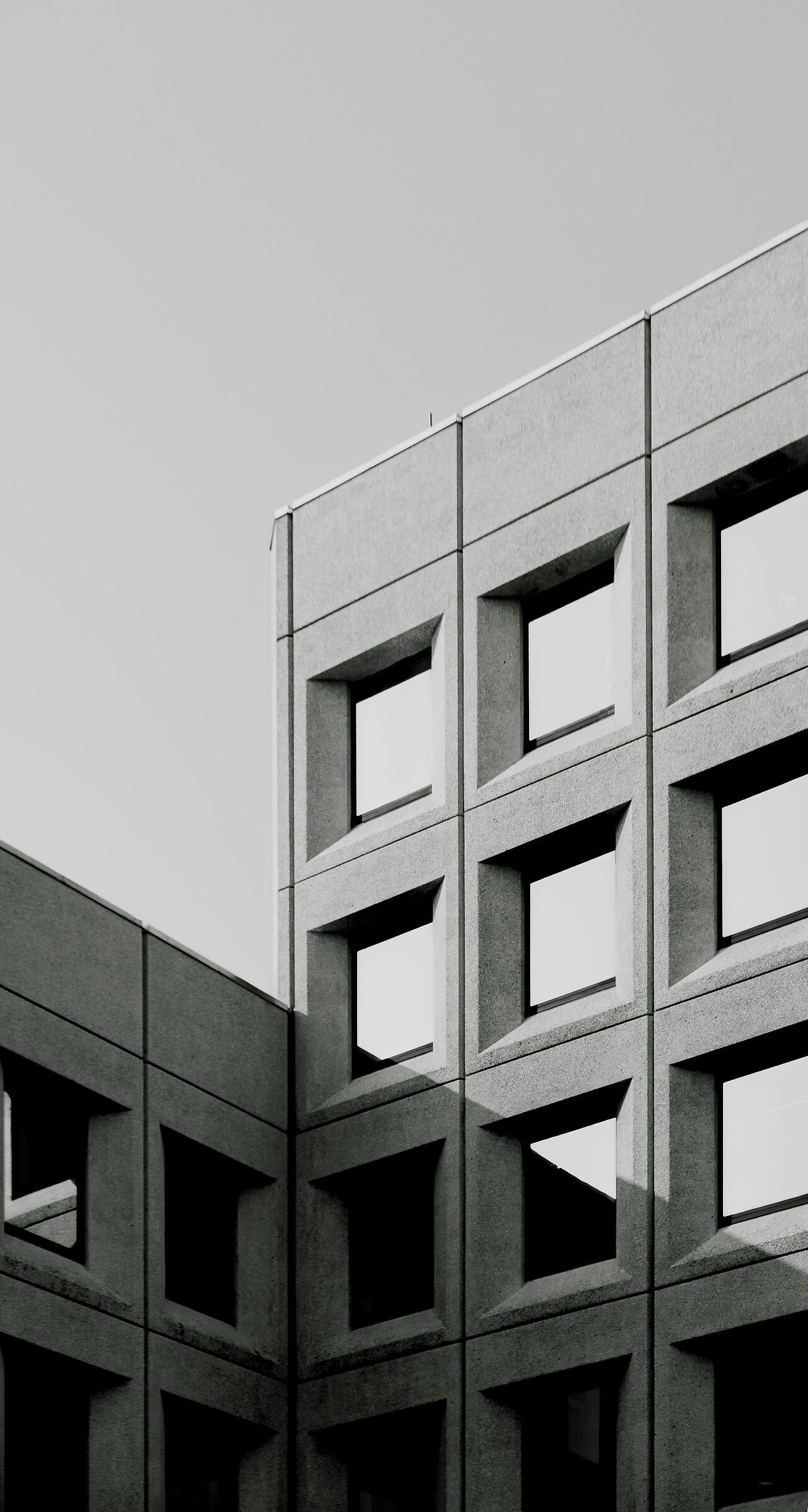 Lines