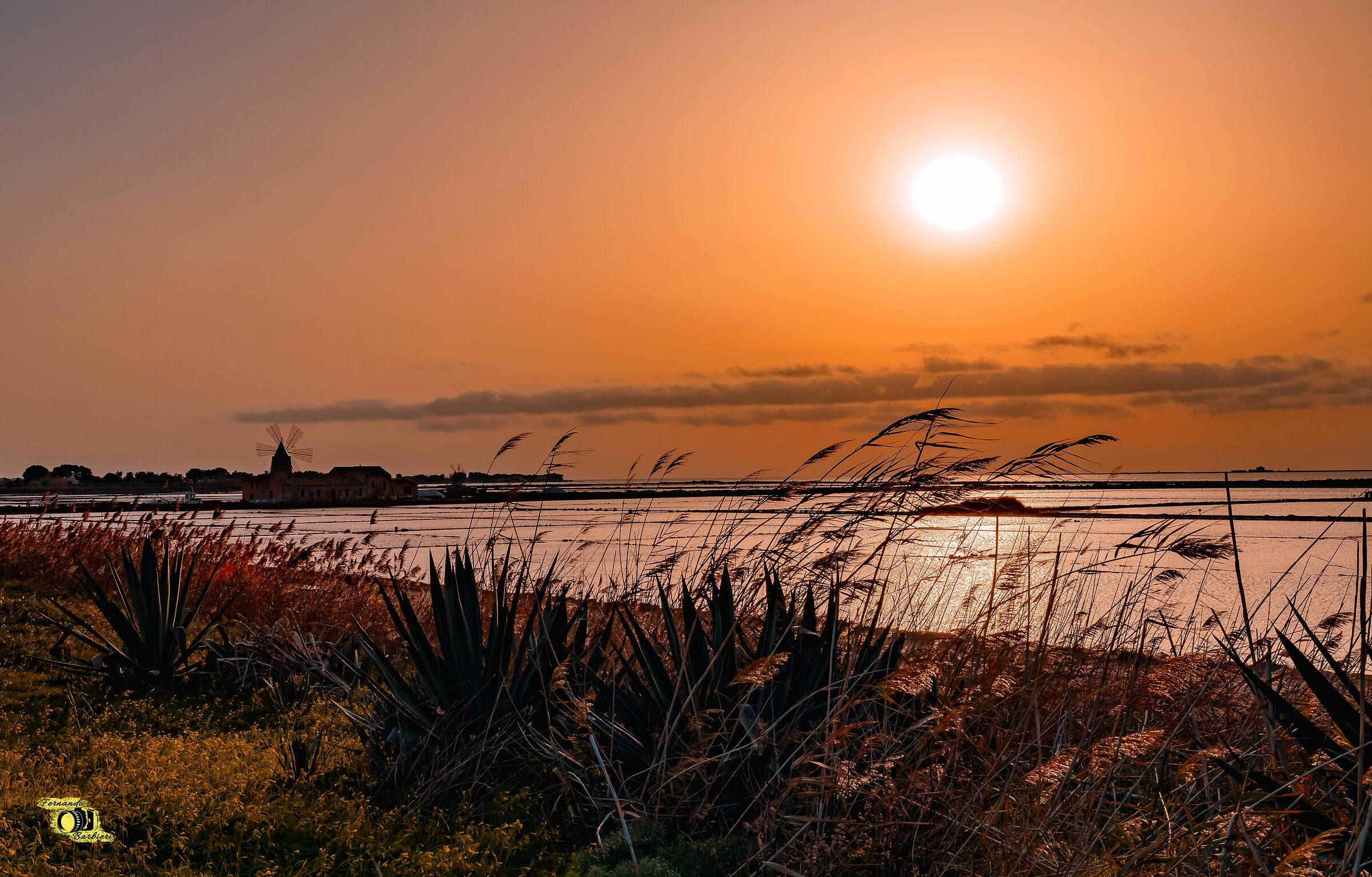 Le saline di Marsala...sogno o realtà?