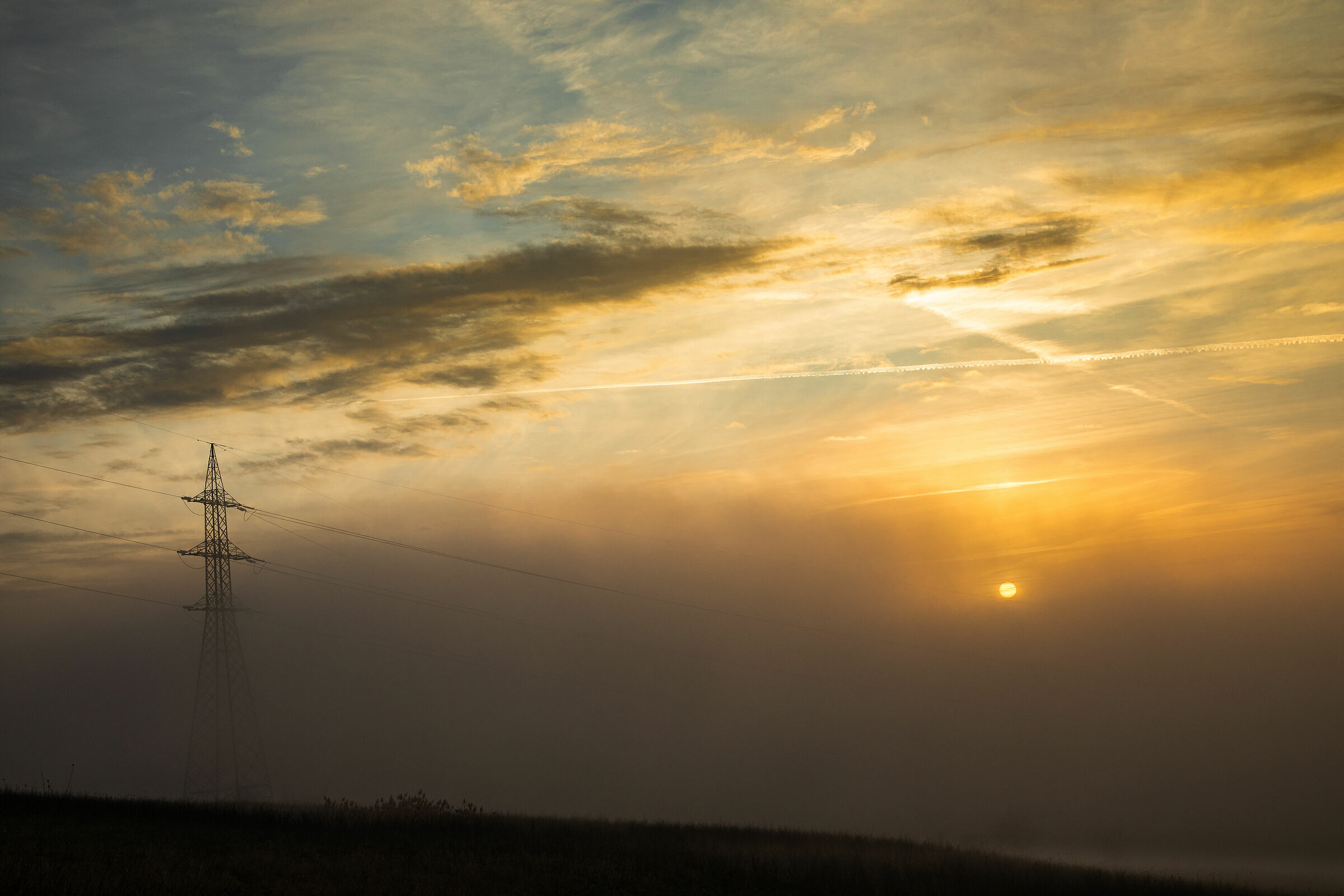Figures in the middle of the fog