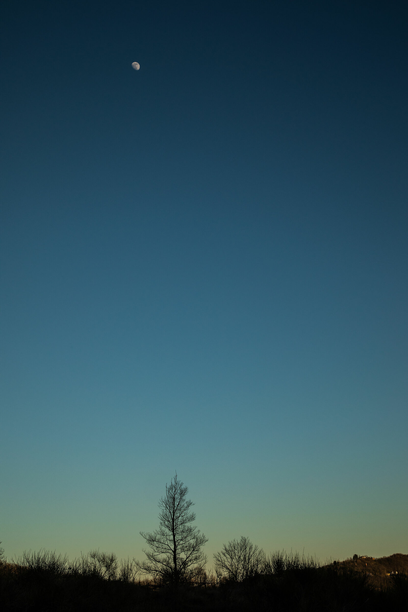 Landscape, silhouette, tree, moon