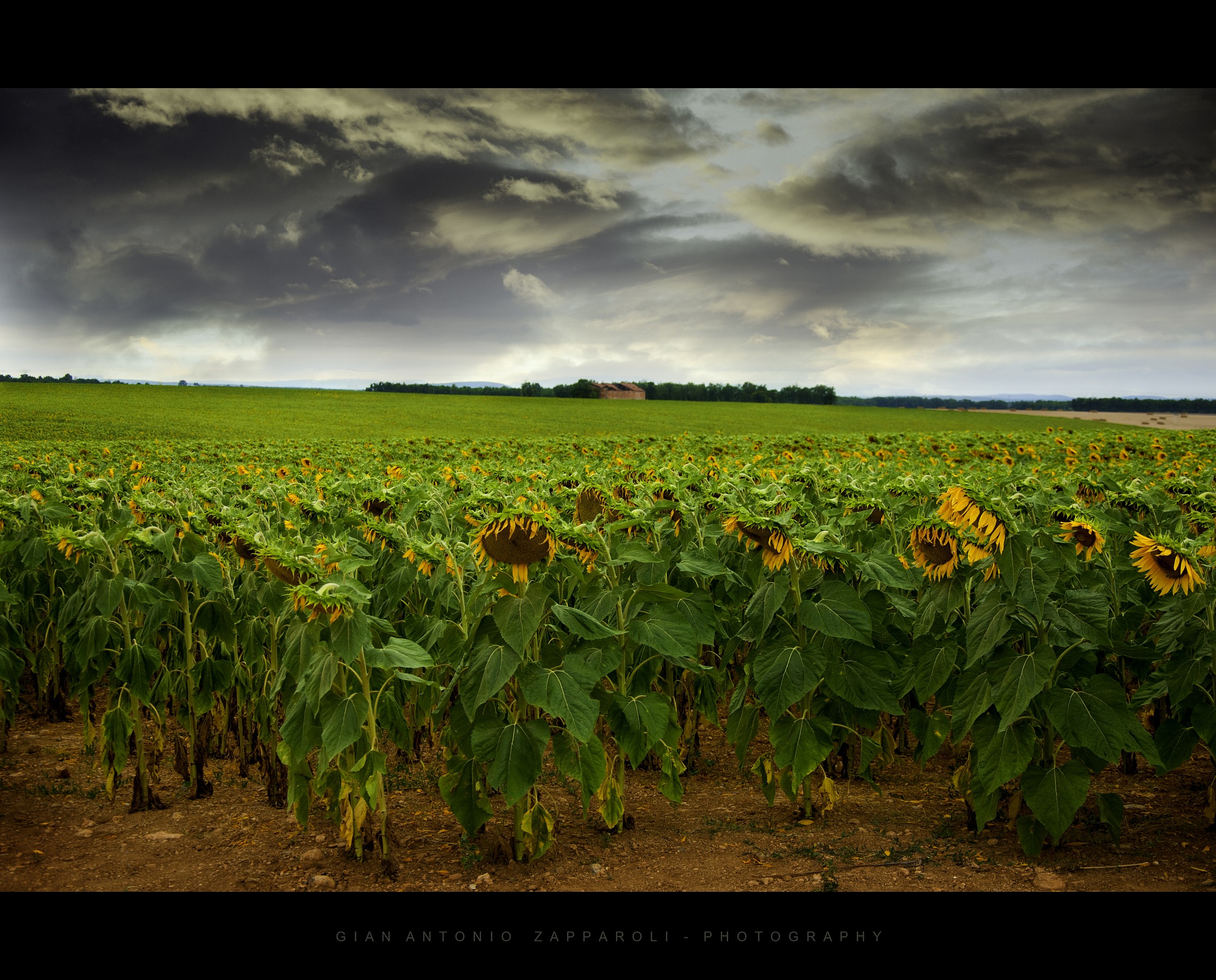 Valensole: in attesa del temporale