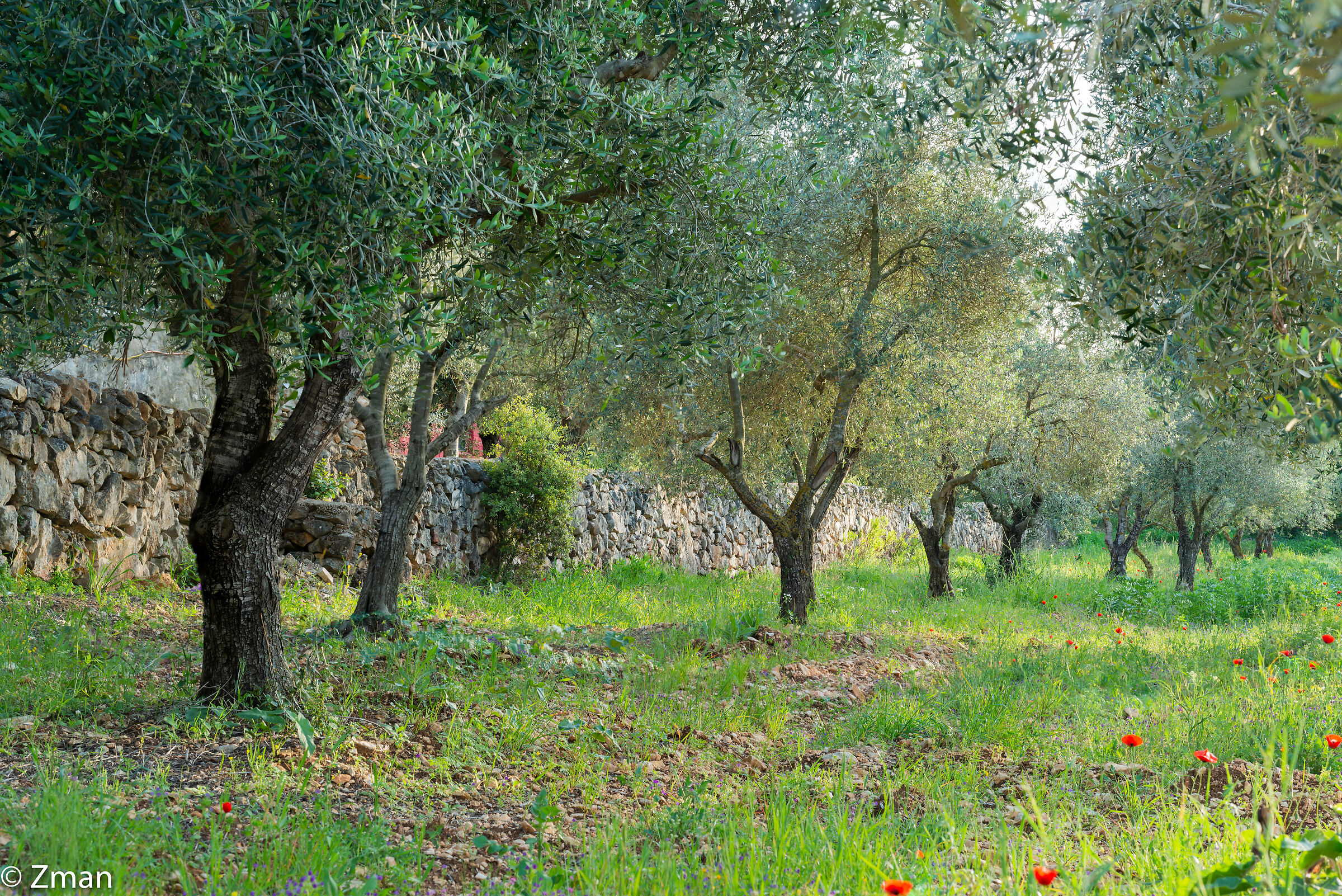 Lockdown Nel nostro Rifugio del Sud