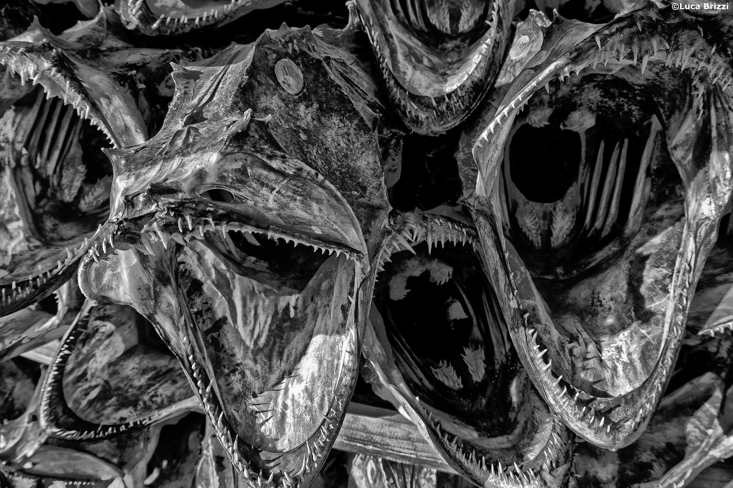 Servi di Cthulhu (stoccafissi)